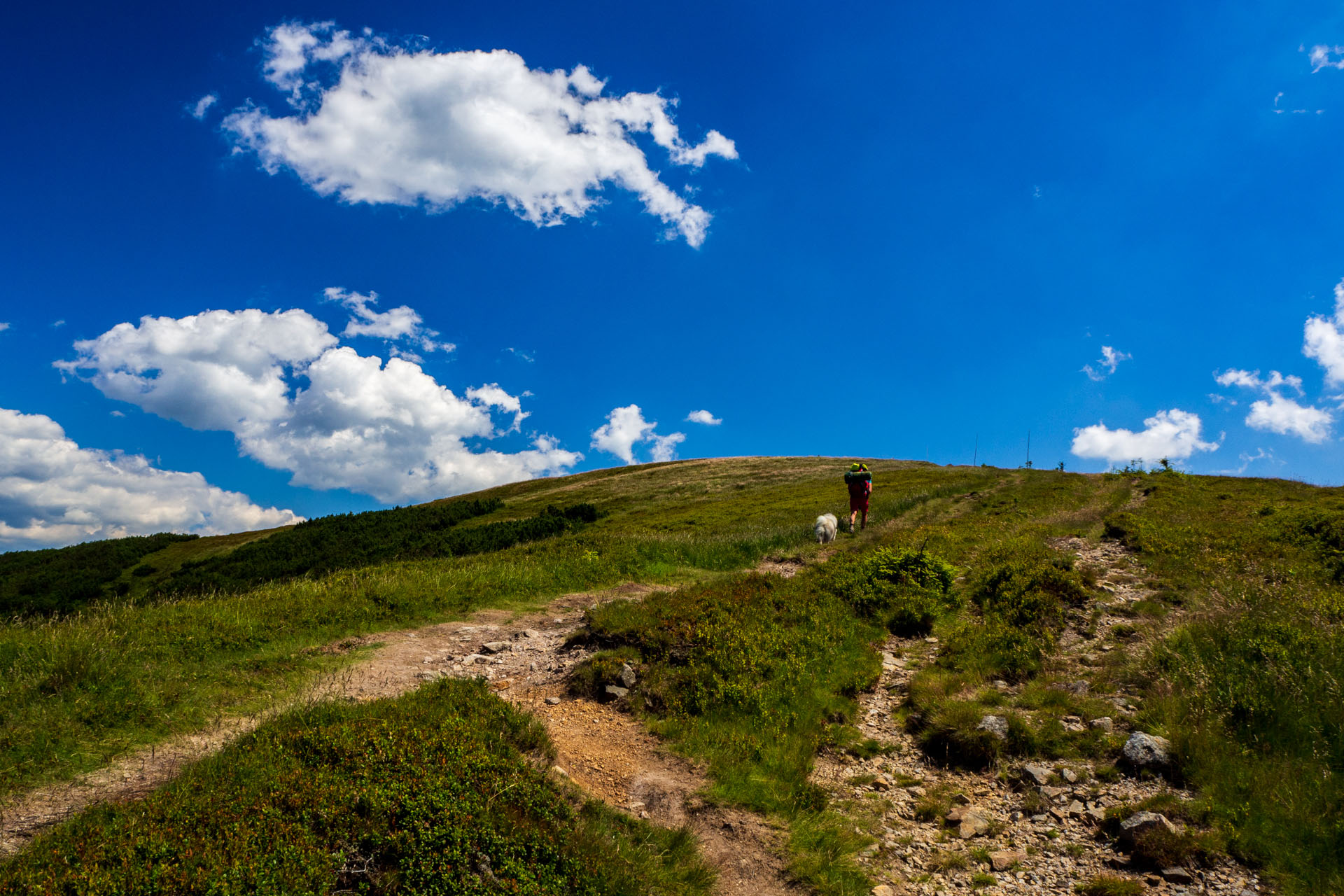 Z Hiadeľského sedla na Ďurkovú (Nízke Tatry)