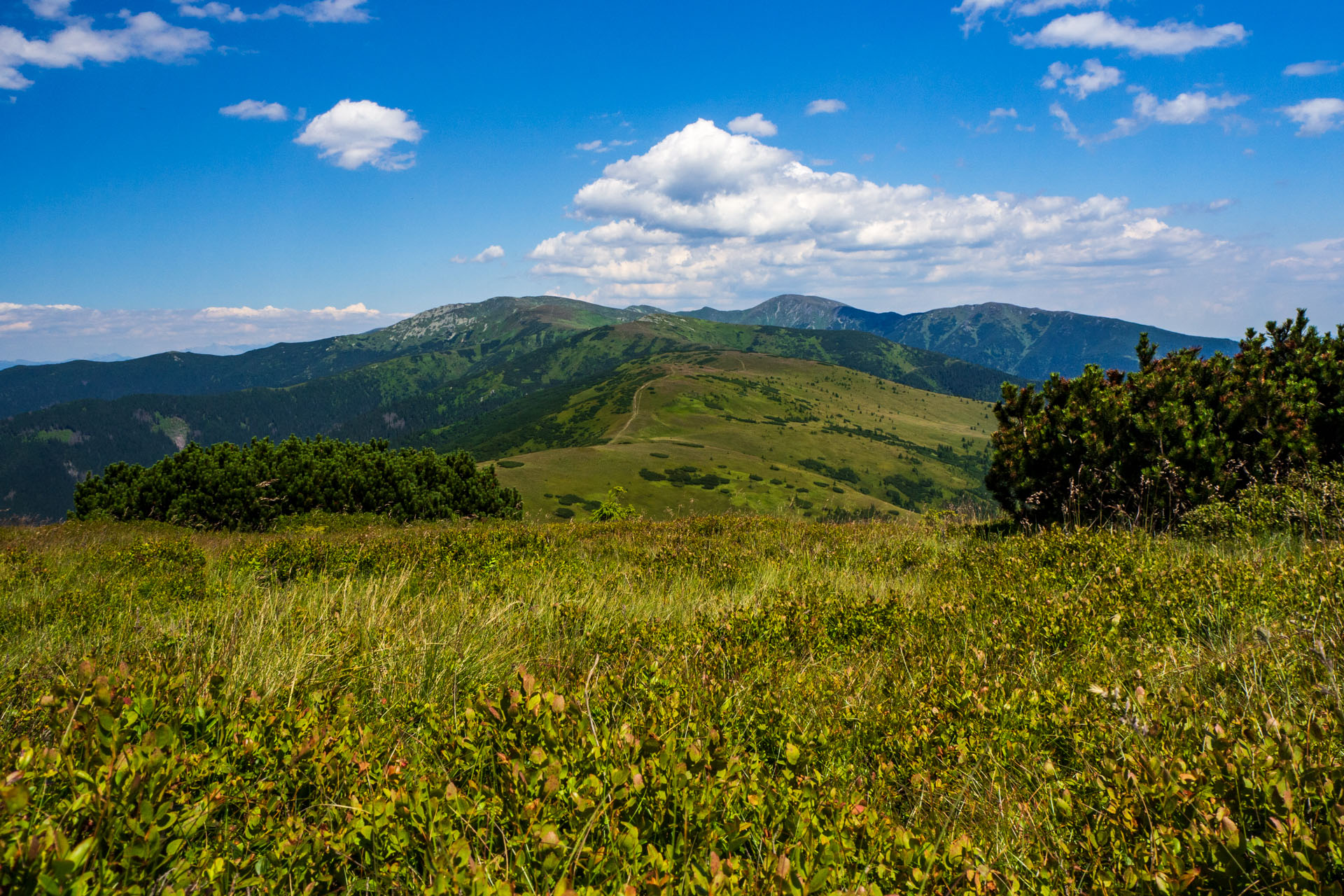 Z Hiadeľského sedla na Ďurkovú (Nízke Tatry)