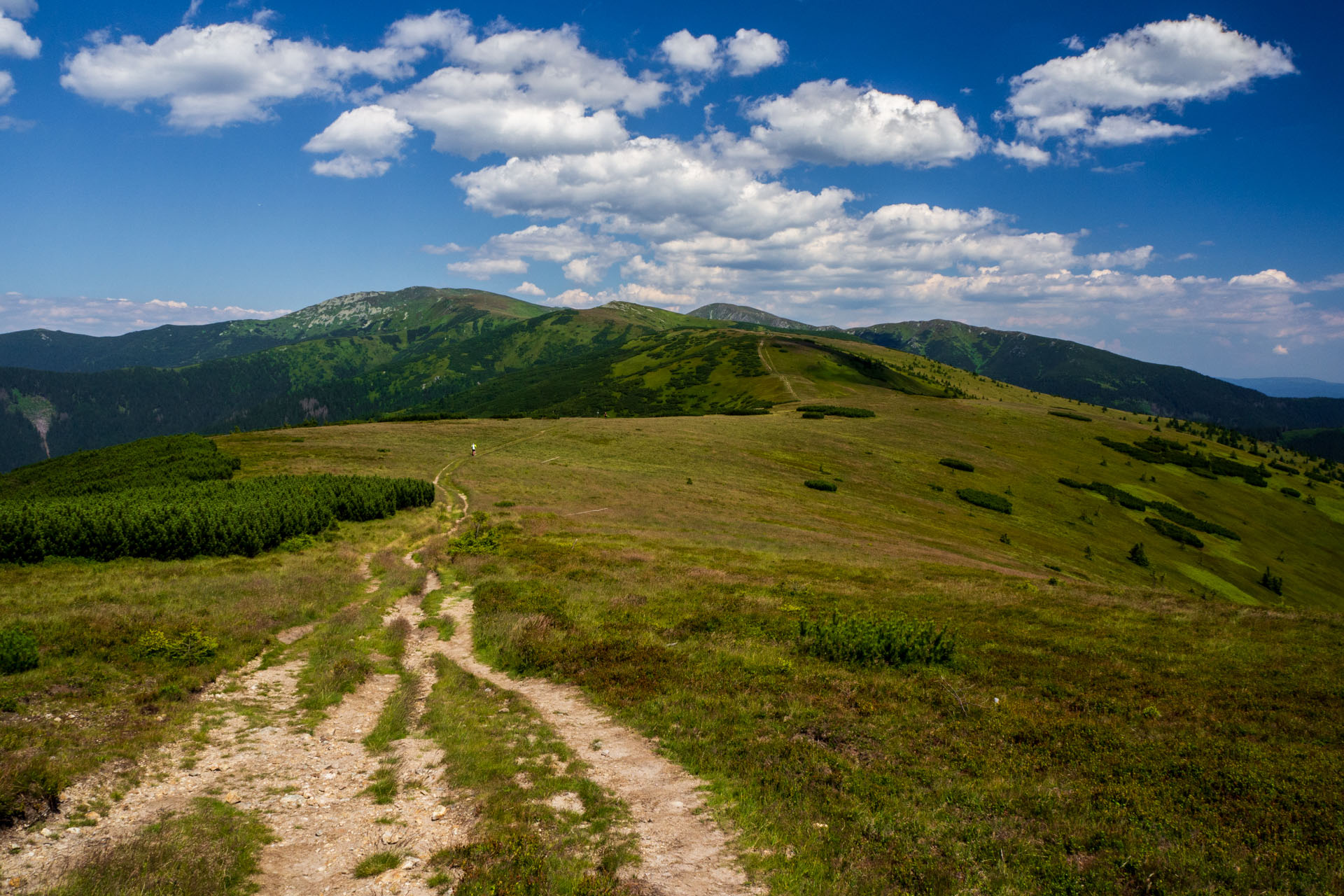 Z Hiadeľského sedla na Ďurkovú (Nízke Tatry)