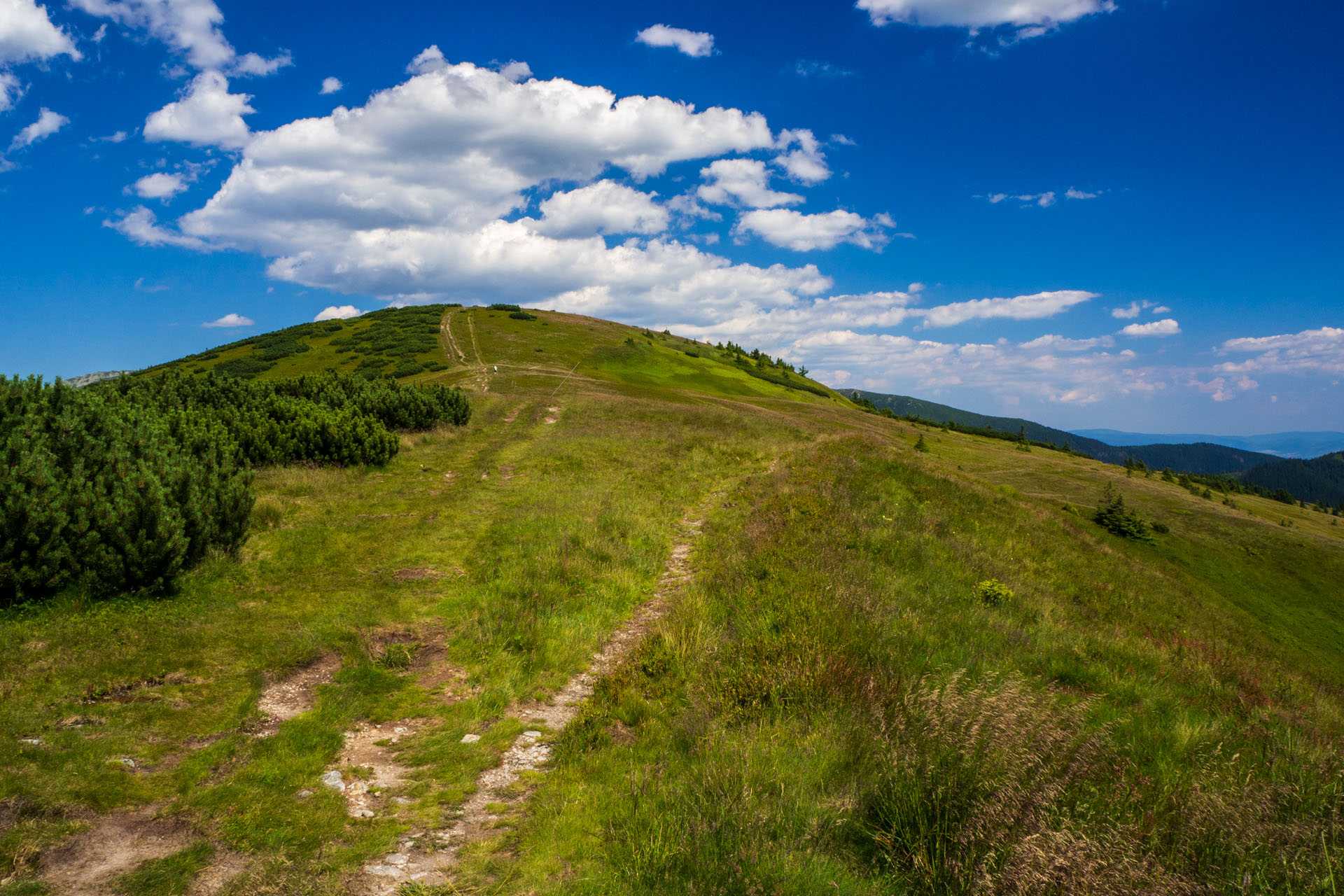 Z Hiadeľského sedla na Ďurkovú (Nízke Tatry)