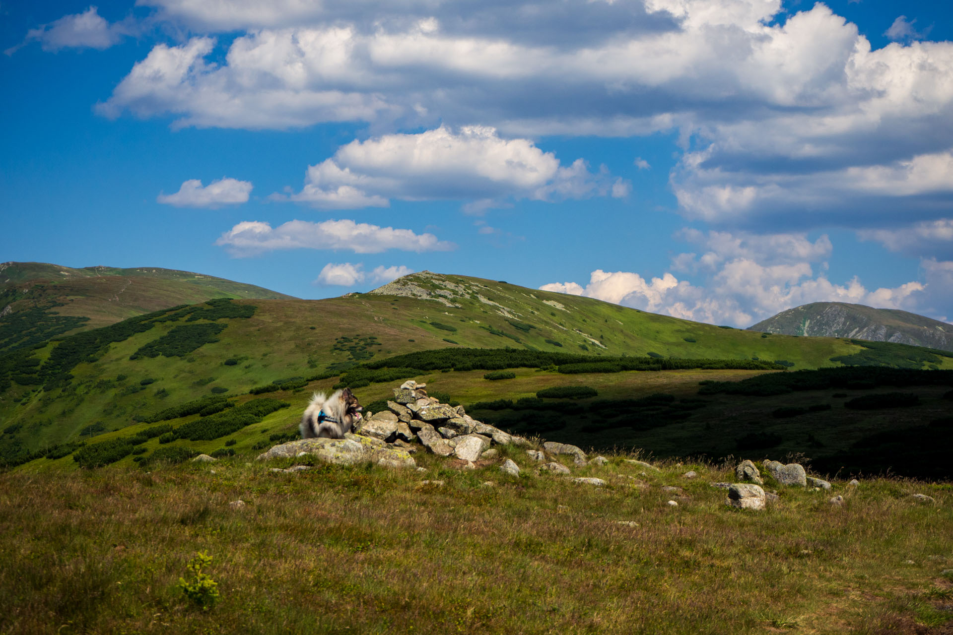 Z Hiadeľského sedla na Ďurkovú (Nízke Tatry)