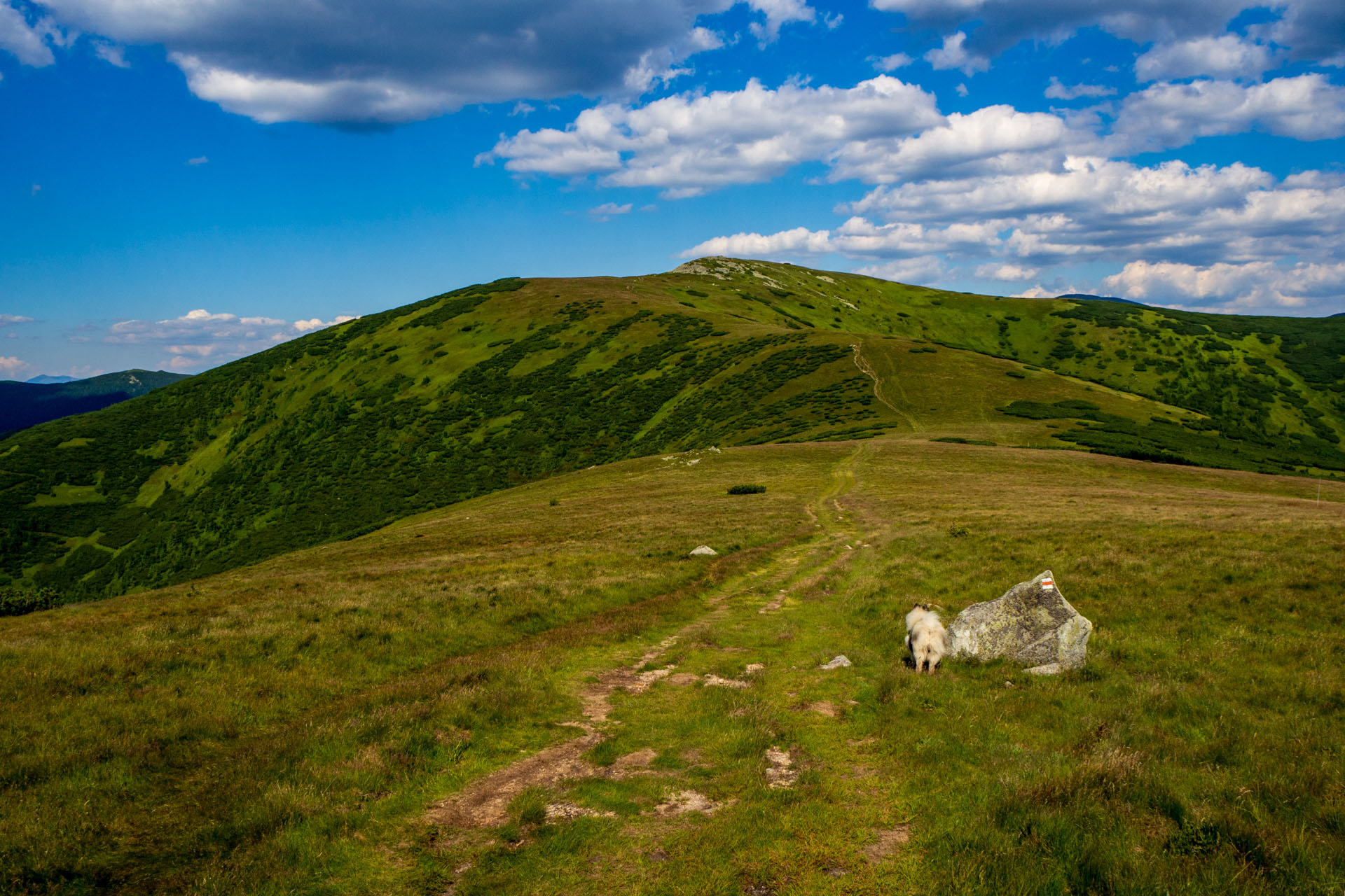 Z Hiadeľského sedla na Ďurkovú (Nízke Tatry)