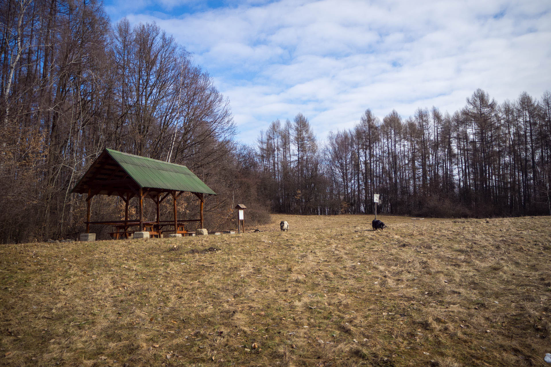 Zapikán a Mazolín z Davidova (Slanské vrchy)