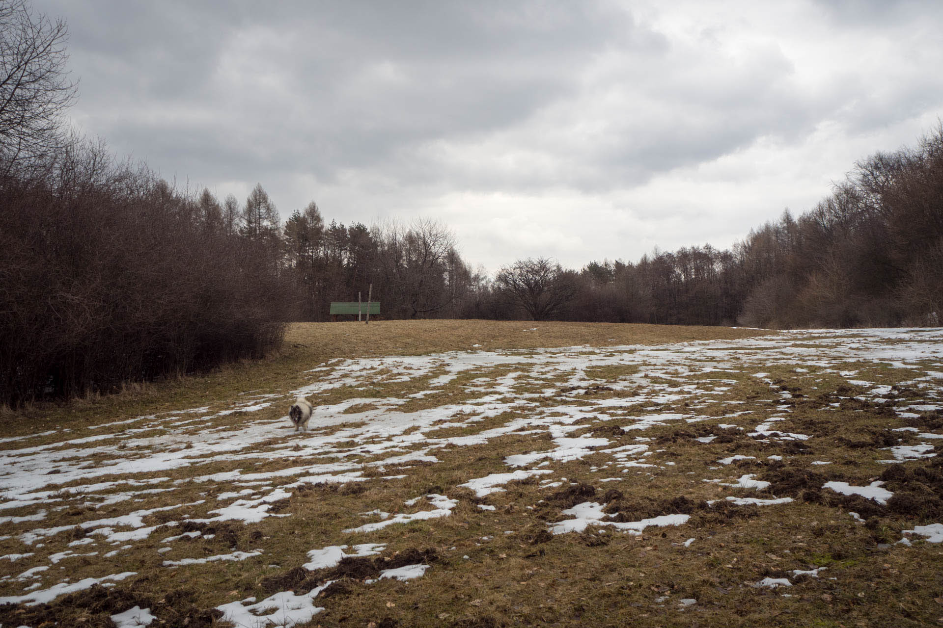 Zapikán a Mazolín z Davidova (Slanské vrchy)