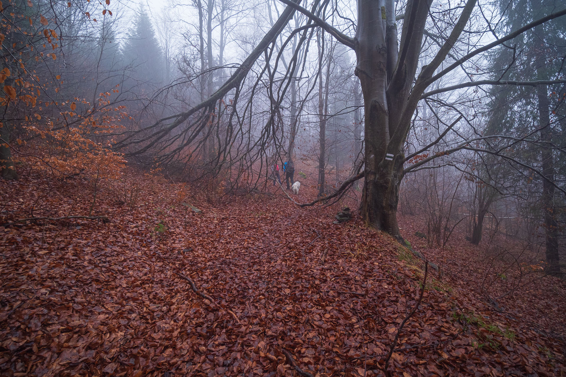 4. ročník vianočnej kapustnice na Kloptani (Volovské vrchy)