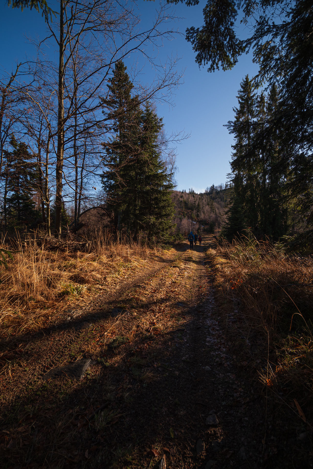 4. ročník vianočnej kapustnice na Kloptani (Volovské vrchy)