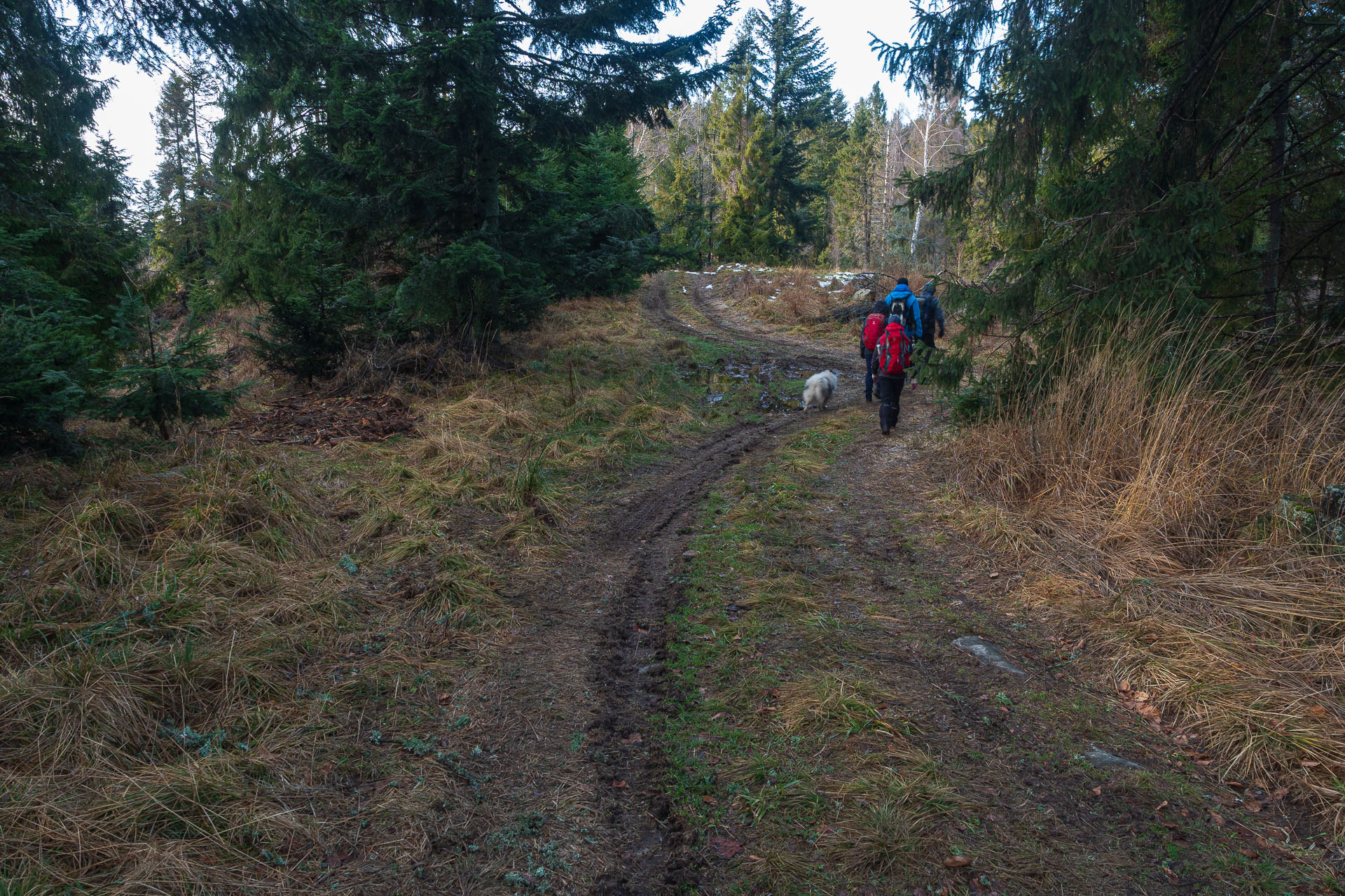 4. ročník vianočnej kapustnice na Kloptani (Volovské vrchy)