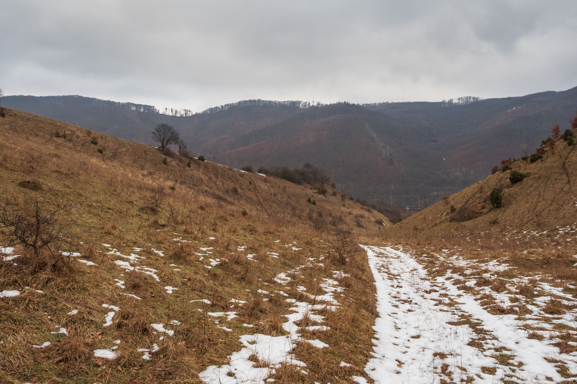 Bokšovské skaly z Veľkej Lodiny (Čierna hora)