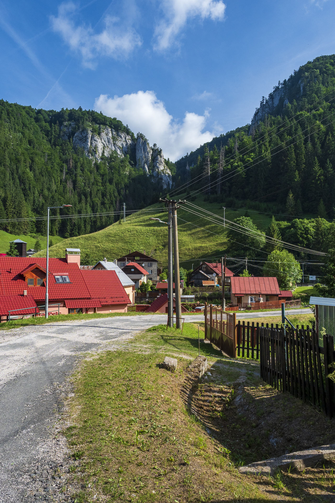 Borovniak (Ondrejisko) zo Stratenej (Slovenský raj)