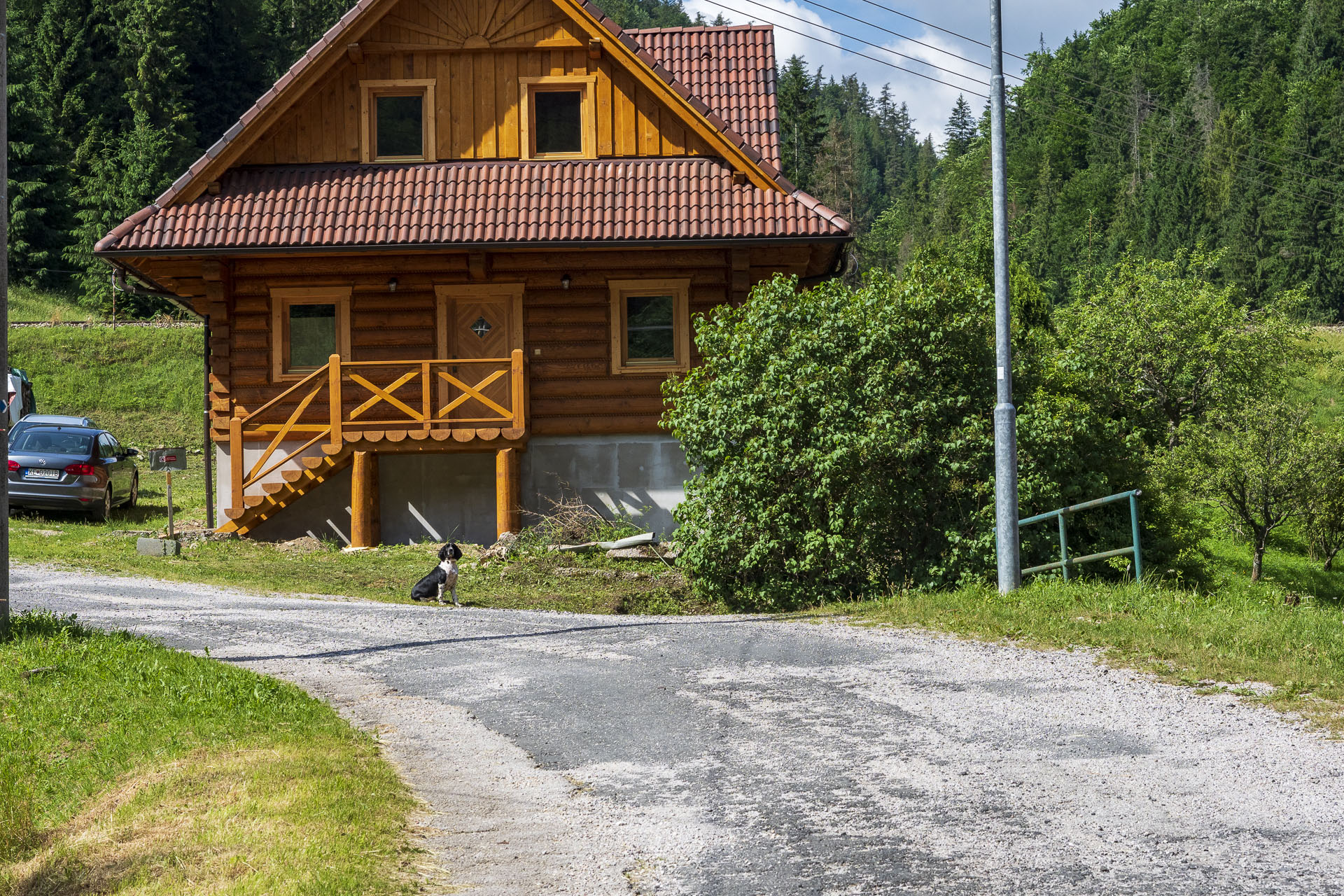 Borovniak (Ondrejisko) zo Stratenej (Slovenský raj)