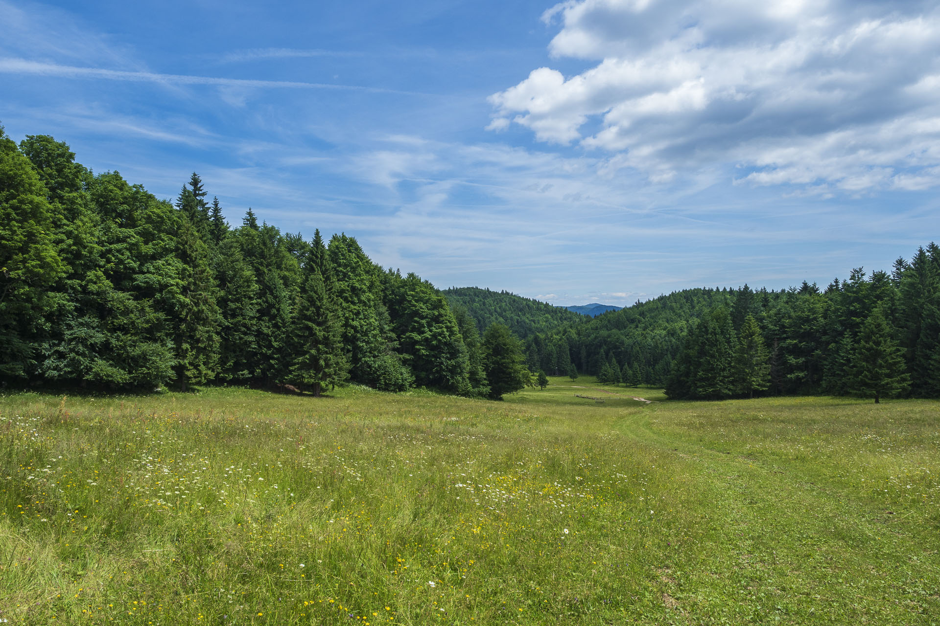 Borovniak (Ondrejisko) zo Stratenej (Slovenský raj)