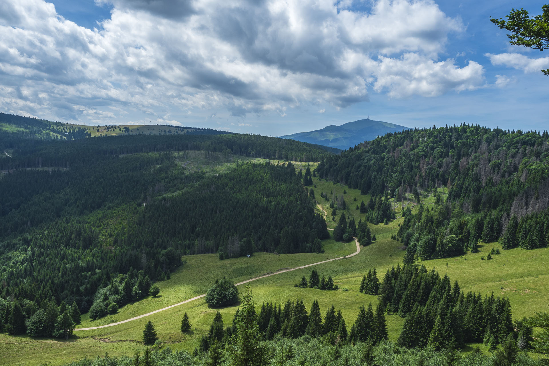 Borovniak (Ondrejisko) zo Stratenej (Slovenský raj)