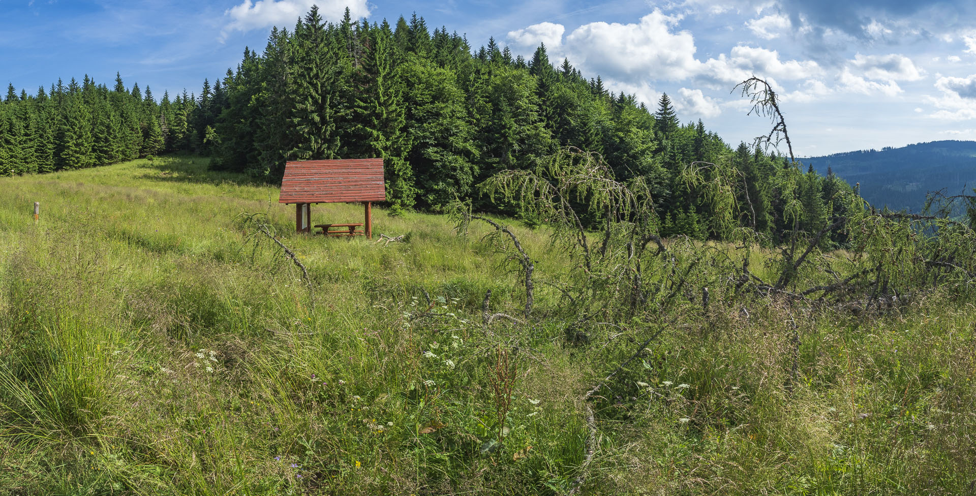 Borovniak (Ondrejisko) zo Stratenej (Slovenský raj)