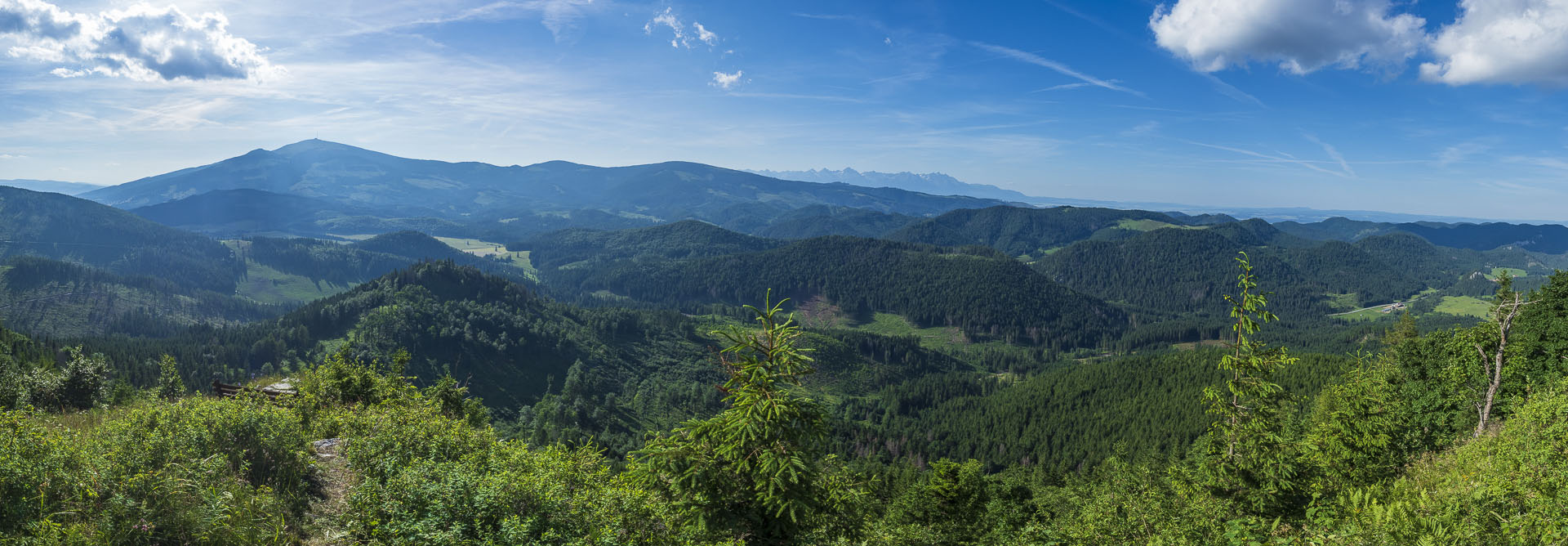 Borovniak (Ondrejisko) zo Stratenej (Slovenský raj)