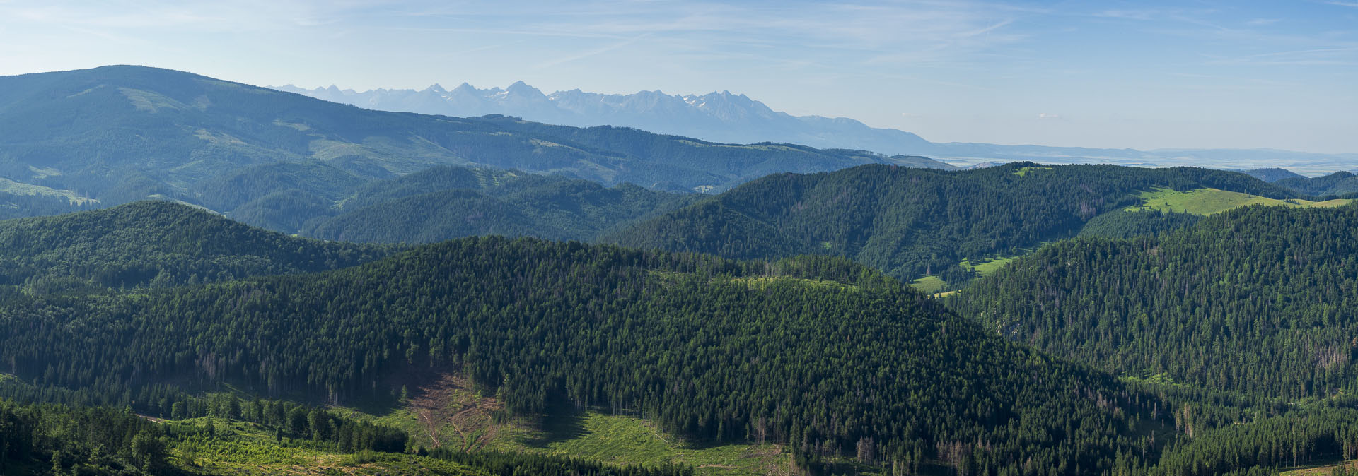 Borovniak (Ondrejisko) zo Stratenej (Slovenský raj)