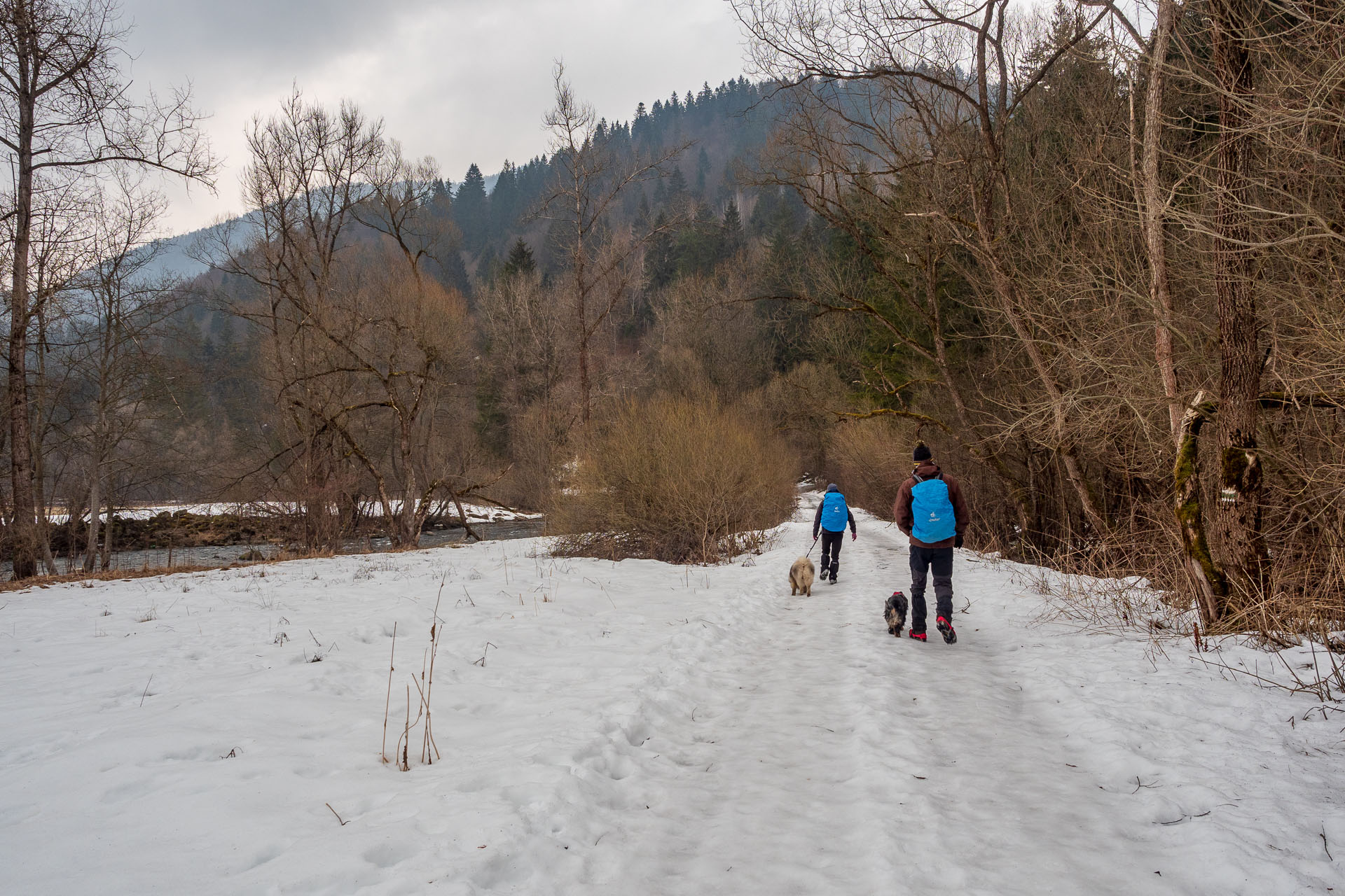 Brankovský vodopád z Podsuchej (Nízke Tatry)