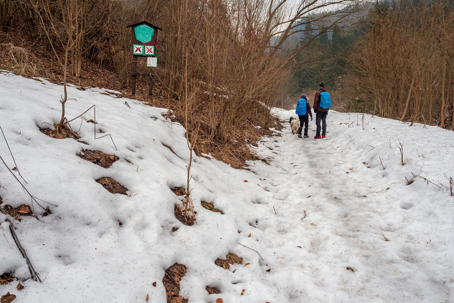 Brankovský vodopád z Podsuchej (Nízke Tatry)