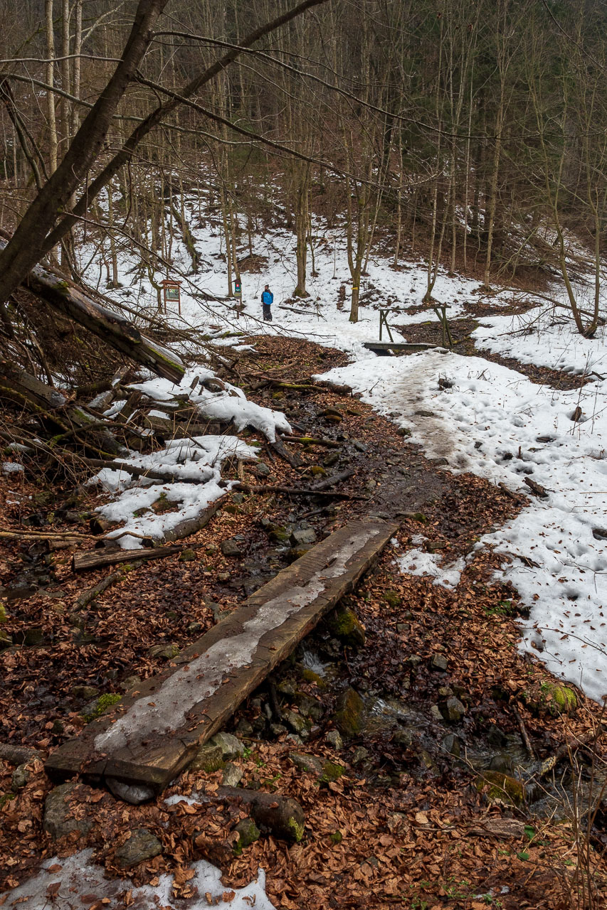 Brankovský vodopád z Podsuchej (Nízke Tatry)