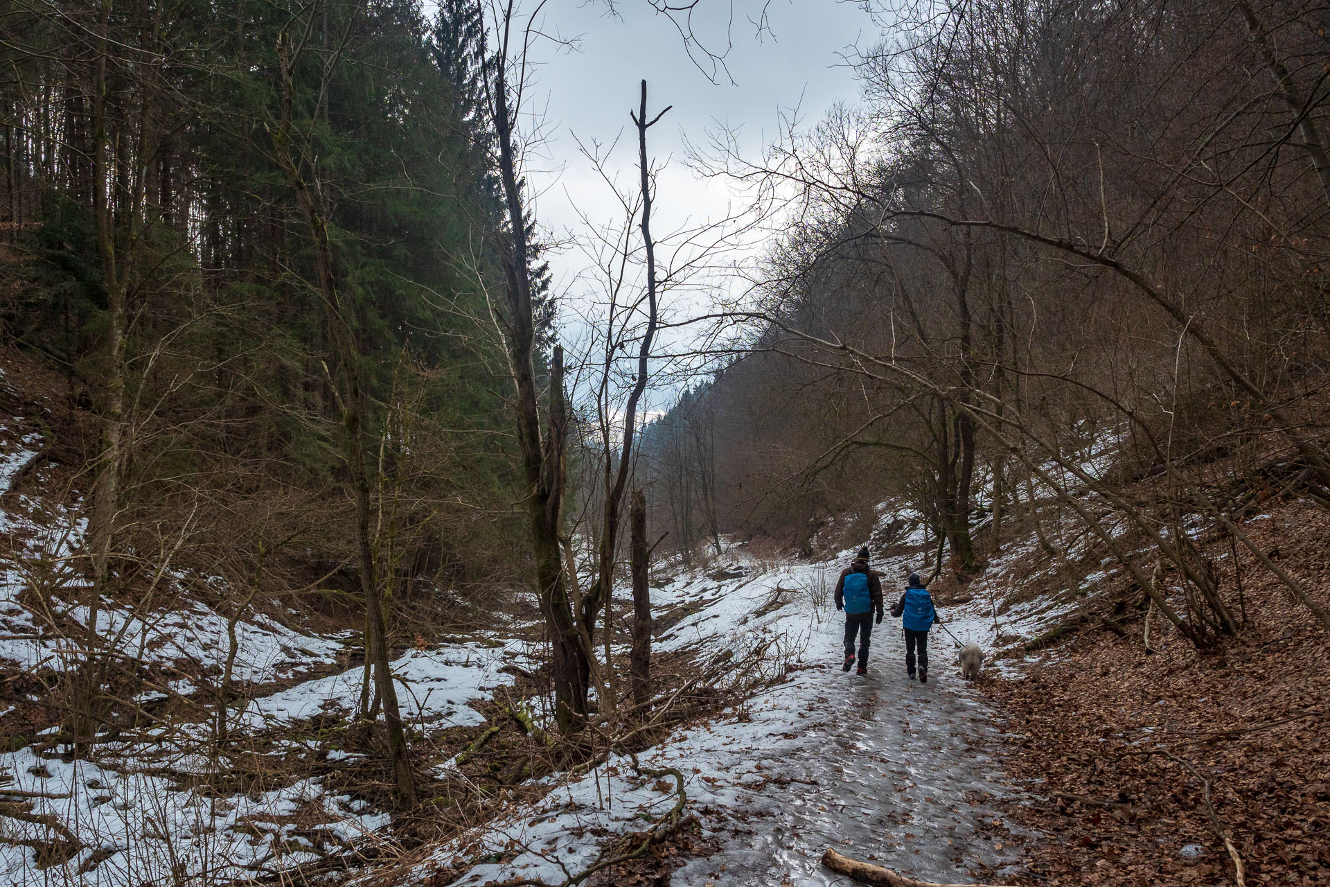 Brankovský vodopád z Podsuchej (Nízke Tatry)