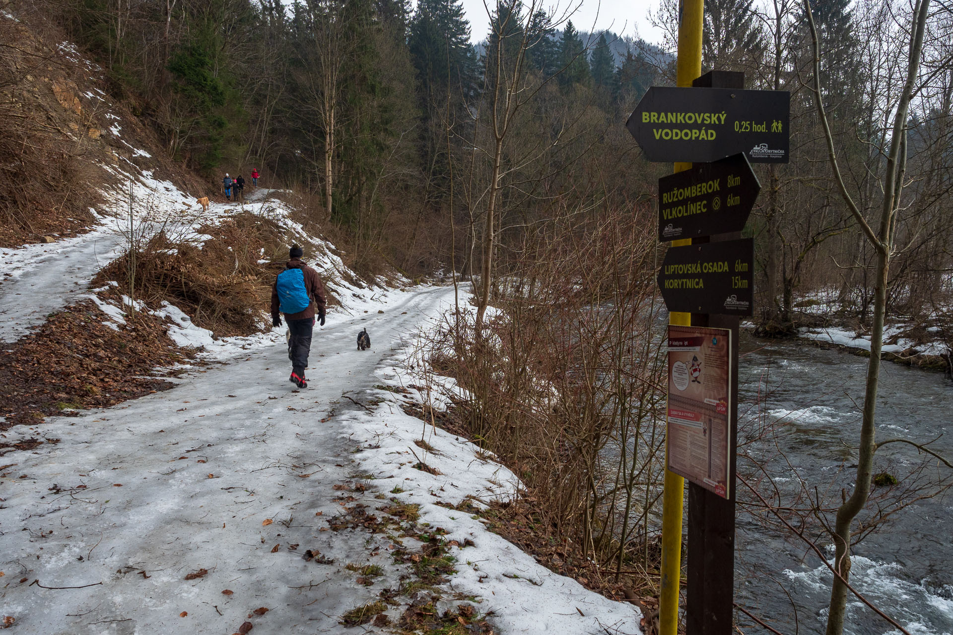 Brankovský vodopád z Podsuchej (Nízke Tatry)