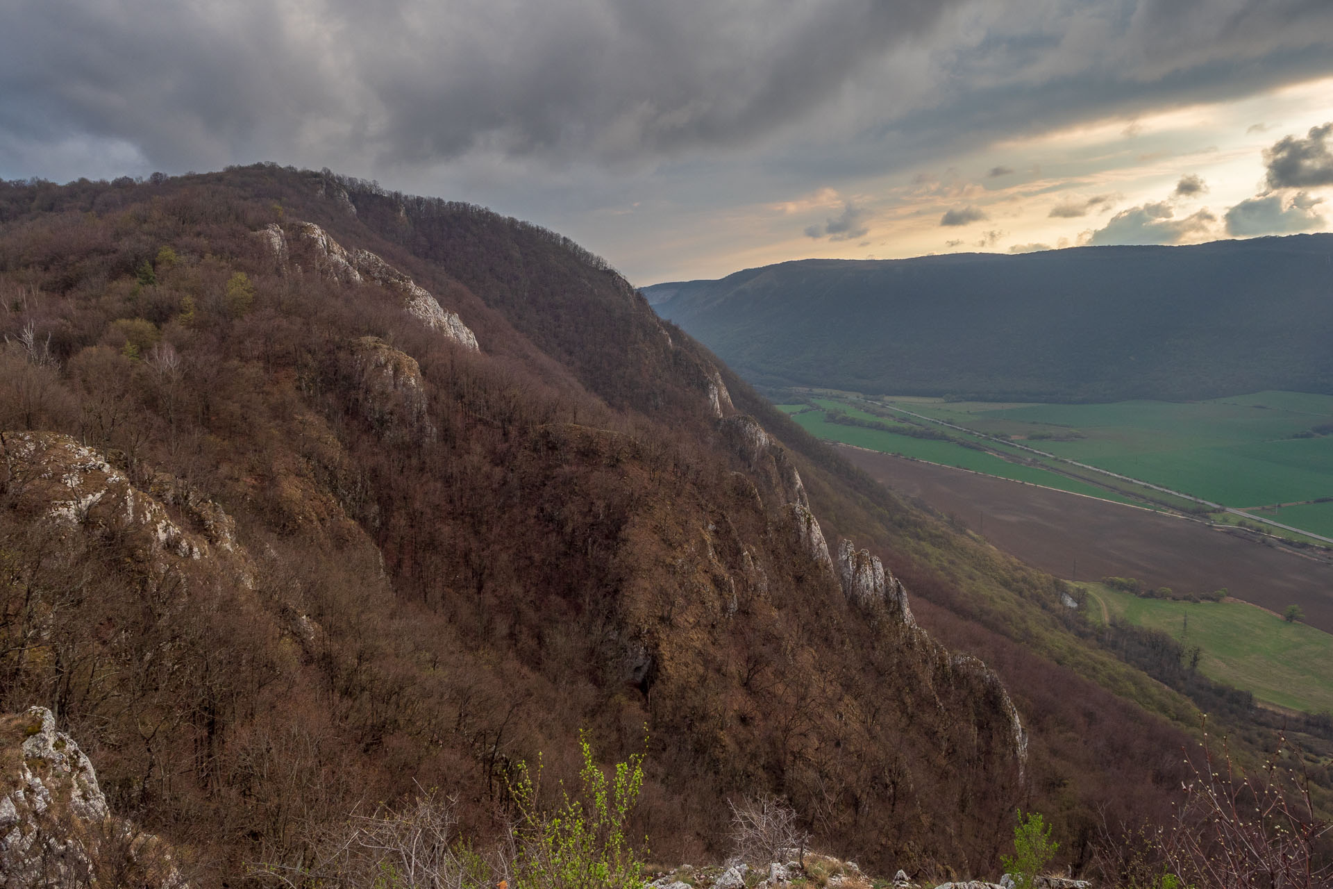 Brzotínska skala z Jovíc (Slovenský kras)