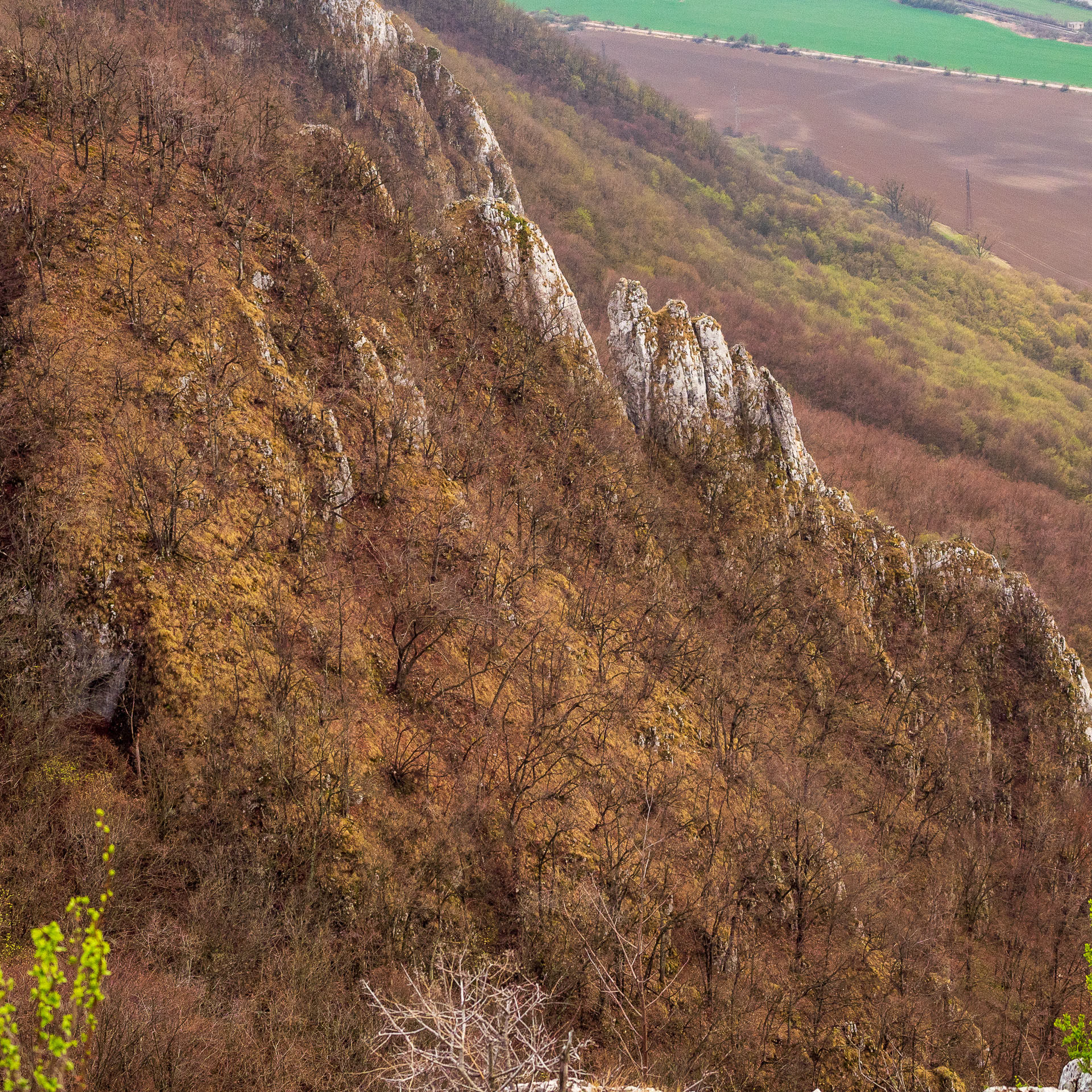 Brzotínska skala z Jovíc (Slovenský kras)