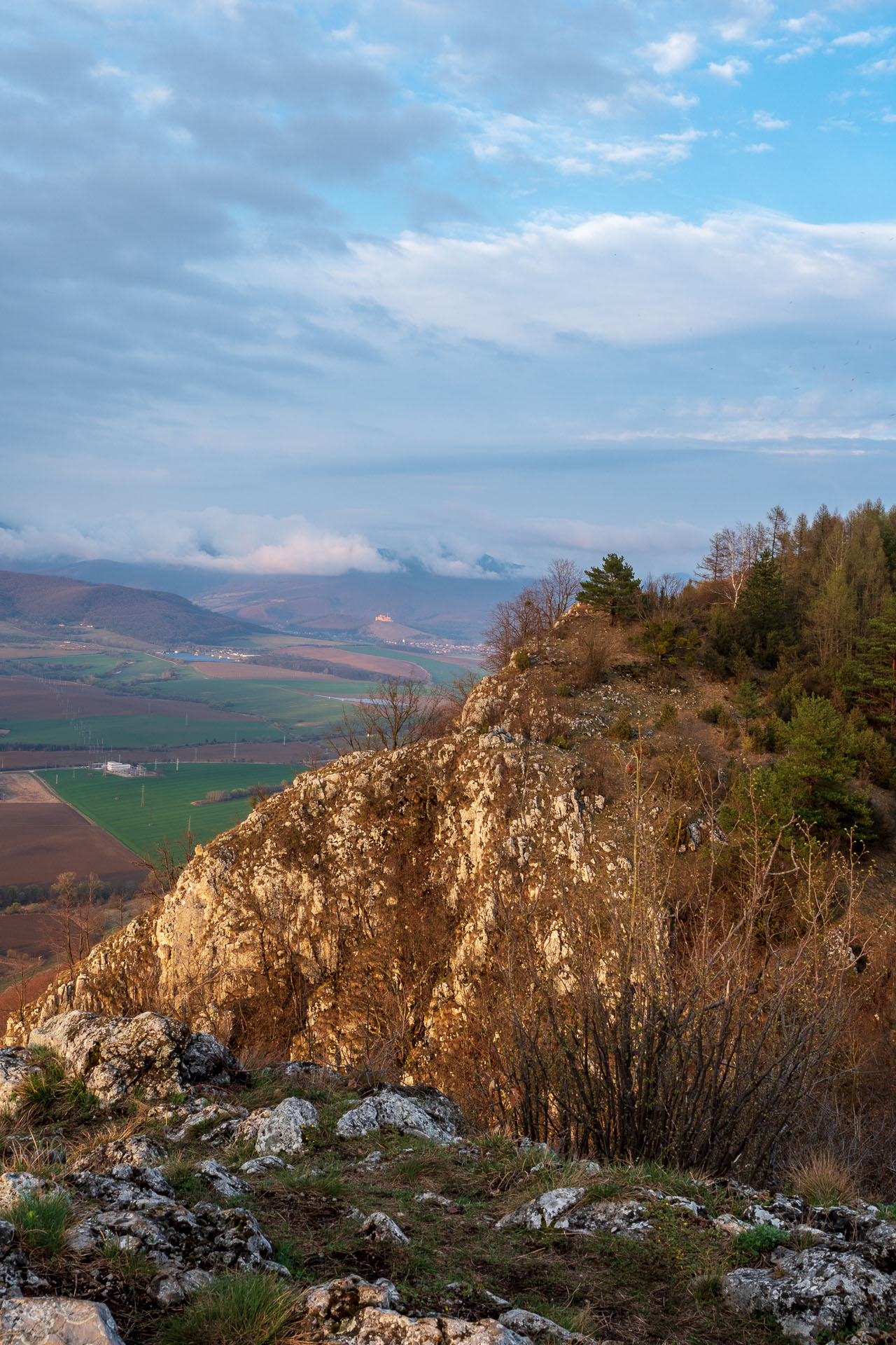 Brzotínska skala z Jovíc (Slovenský kras)