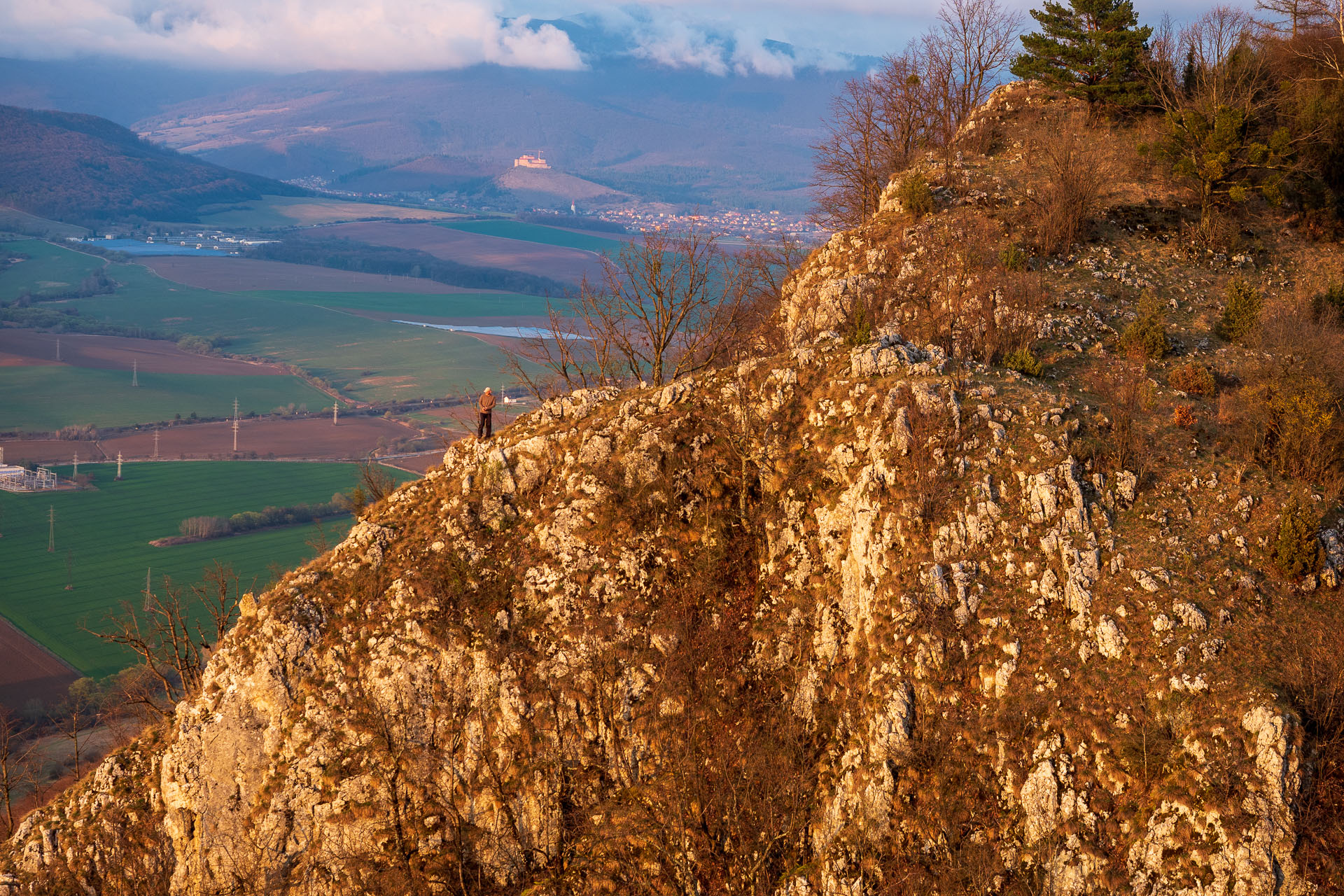 Brzotínska skala z Jovíc (Slovenský kras)