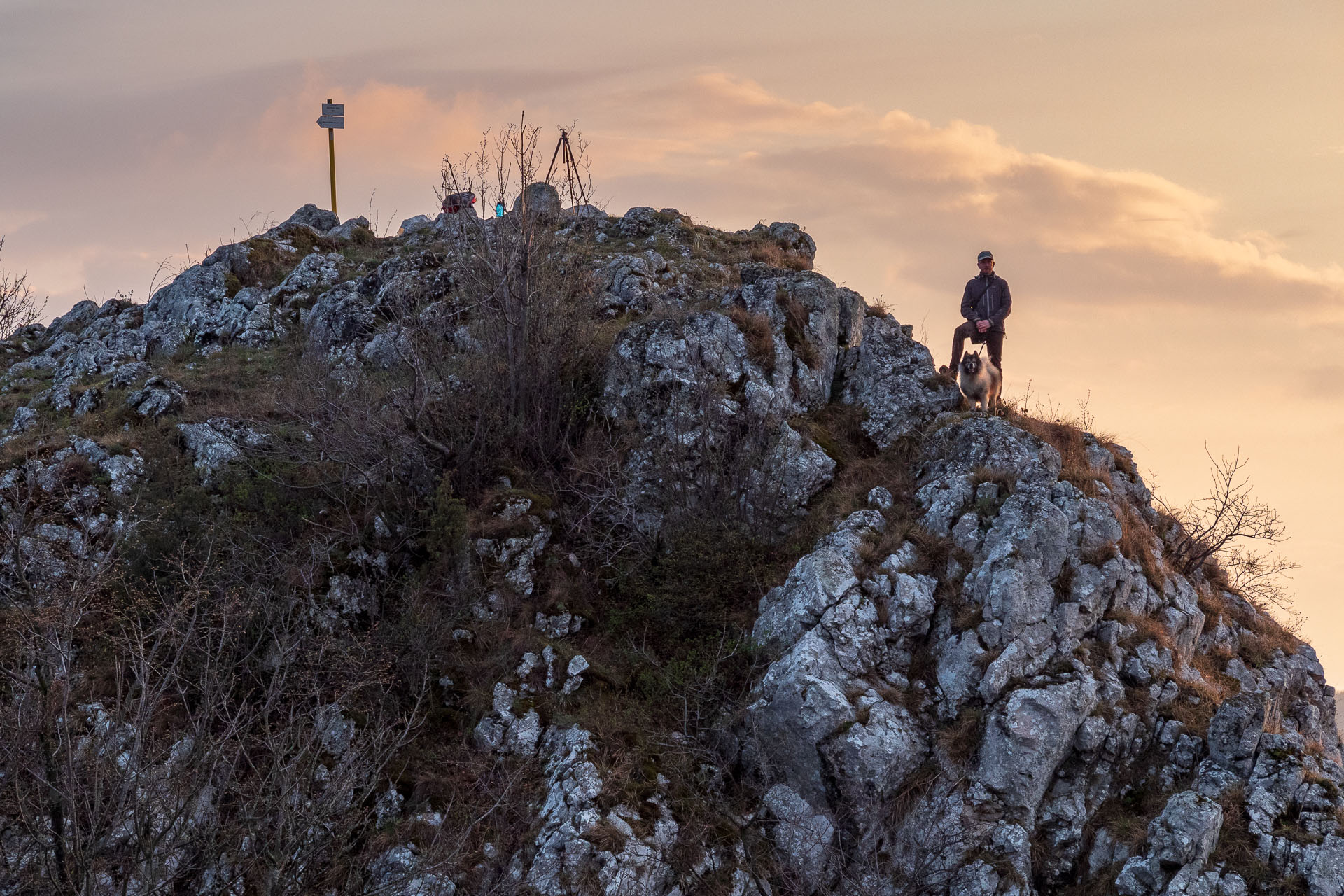 Brzotínska skala z Jovíc (Slovenský kras)