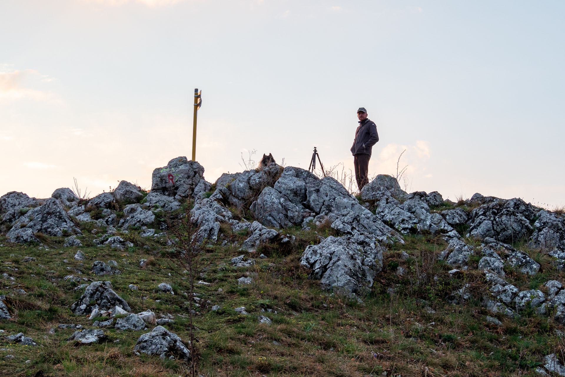 Brzotínska skala z Jovíc (Slovenský kras)