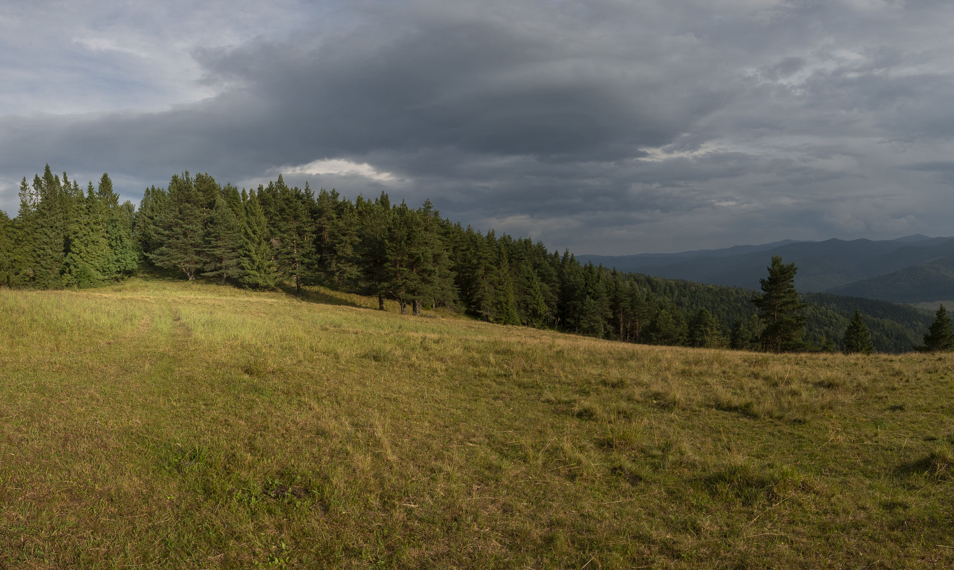 Bukovec zo Švedlára (Volovské vrchy)