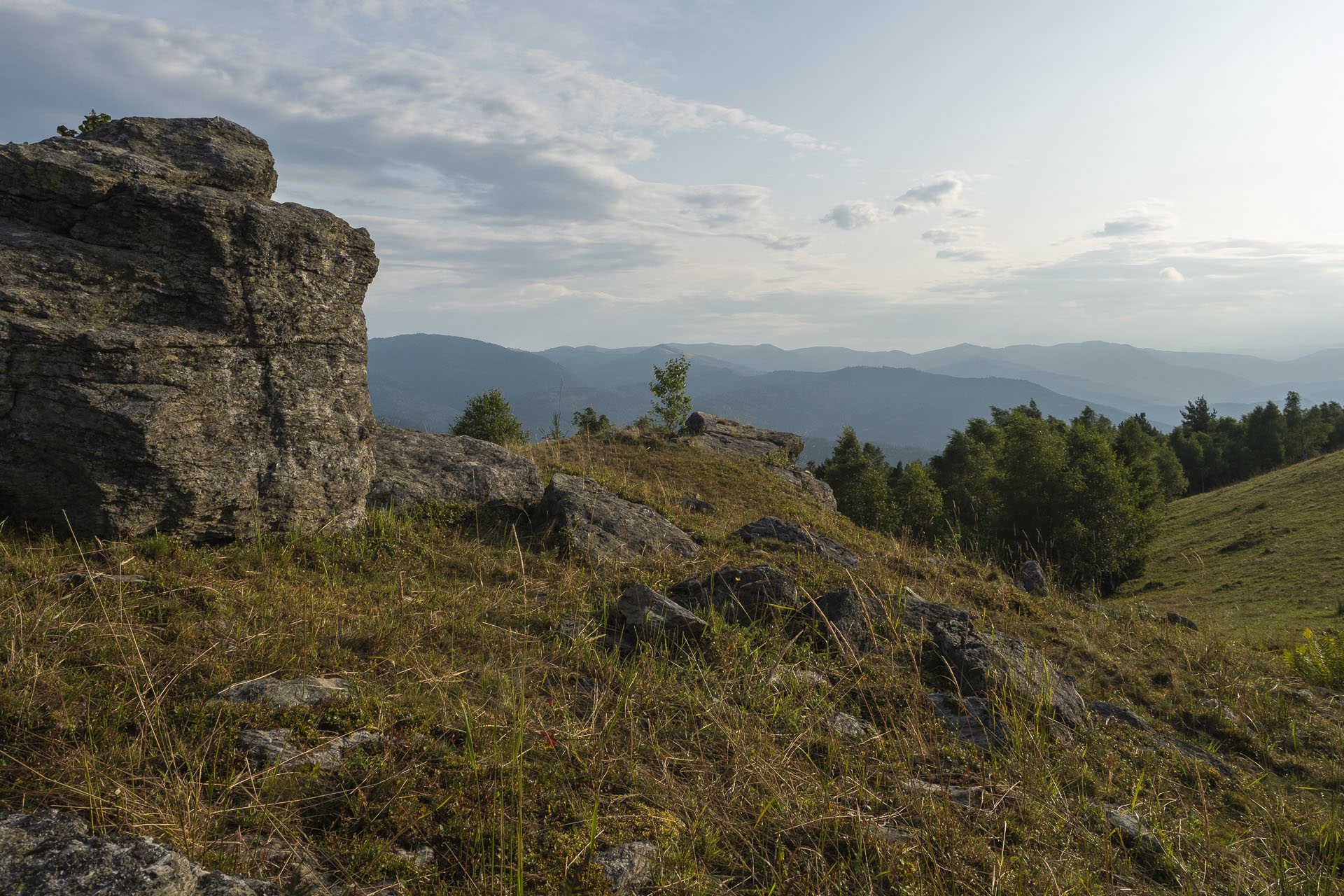 Bukovec zo Švedlára (Volovské vrchy)