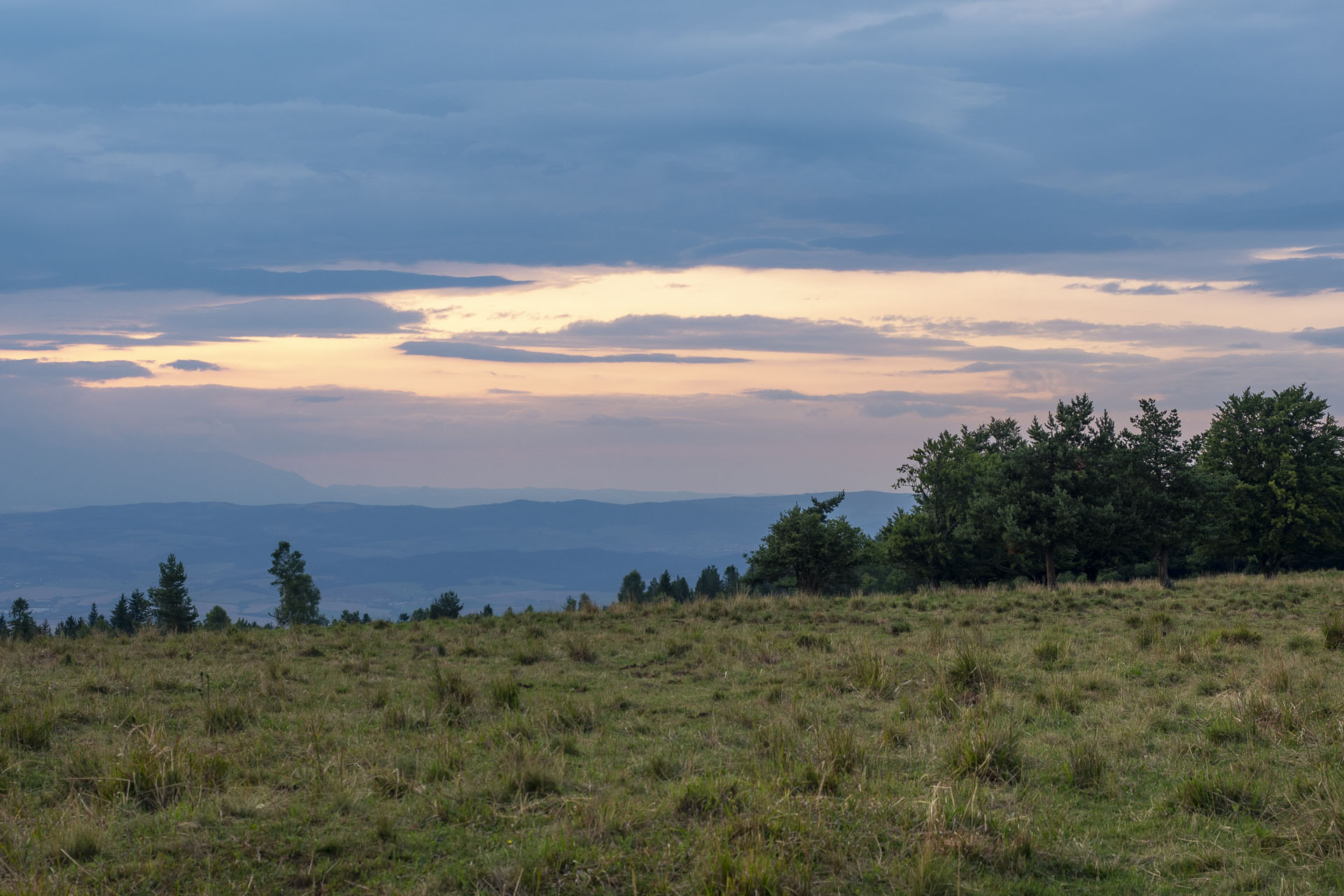 Bukovec zo Švedlára (Volovské vrchy)