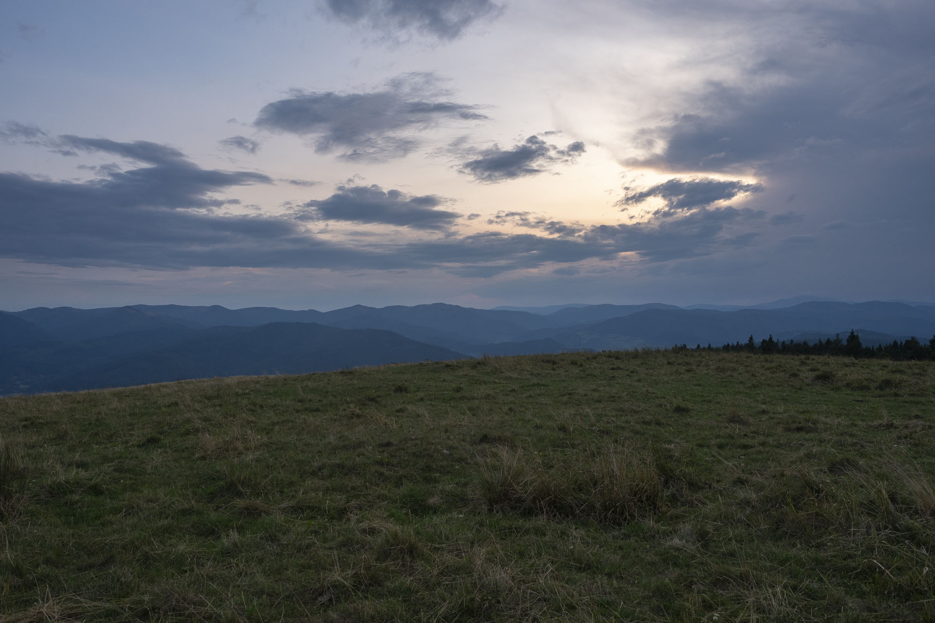 Bukovec zo Švedlára (Volovské vrchy)