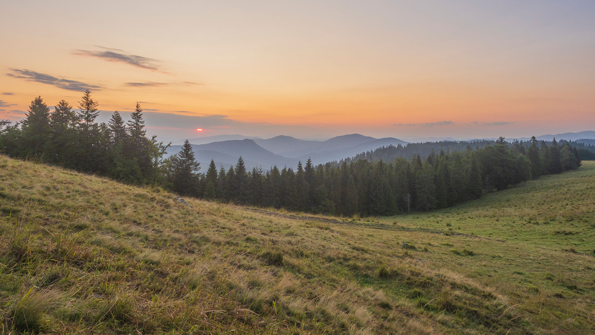 Bukovec zo Švedlára (Volovské vrchy)