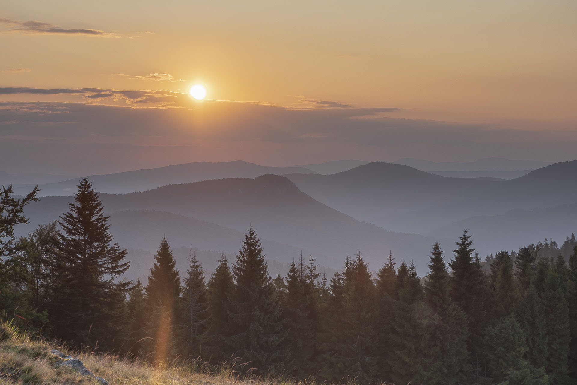 Bukovec zo Švedlára (Volovské vrchy)