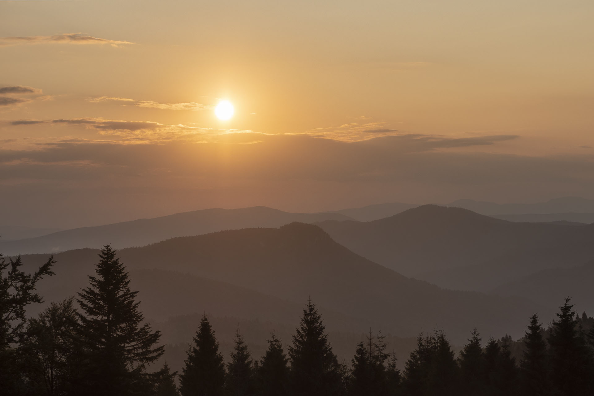 Bukovec zo Švedlára (Volovské vrchy)