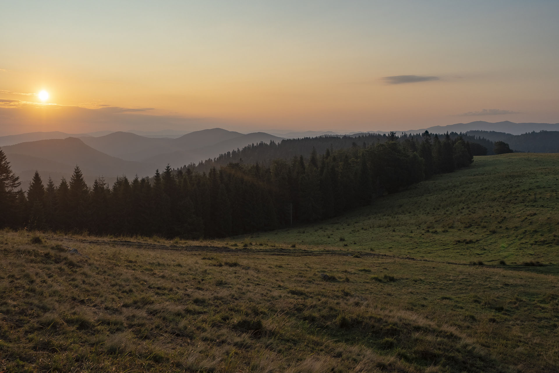 Bukovec zo Švedlára (Volovské vrchy)