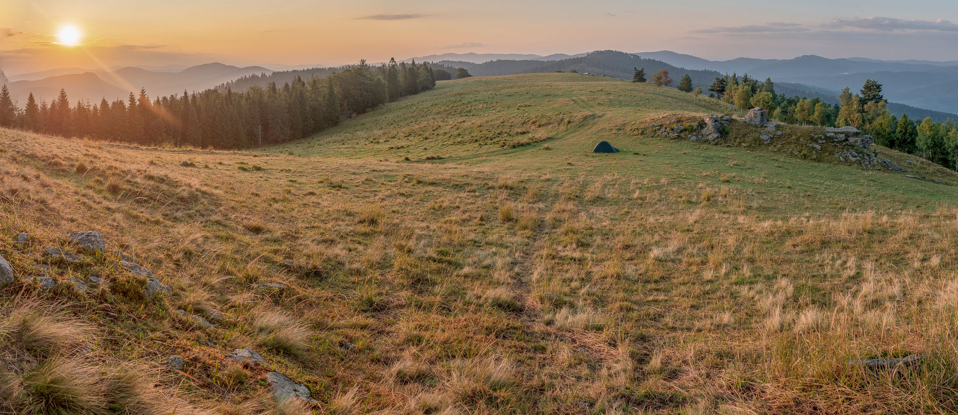 Bukovec zo Švedlára (Volovské vrchy)