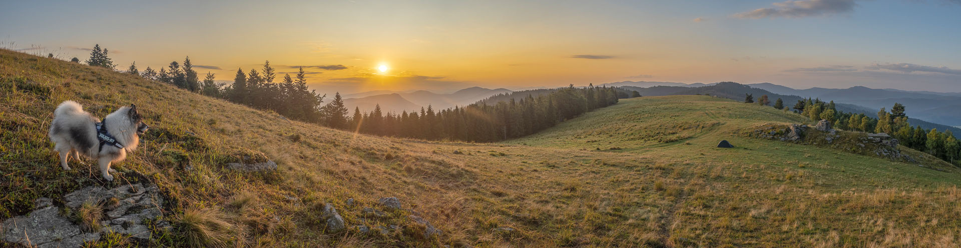 Bukovec zo Švedlára (Volovské vrchy)