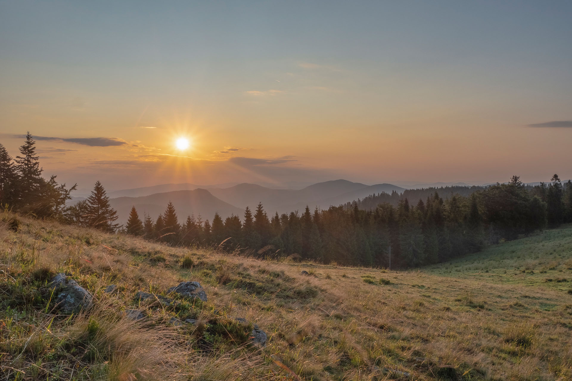 Bukovec zo Švedlára (Volovské vrchy)