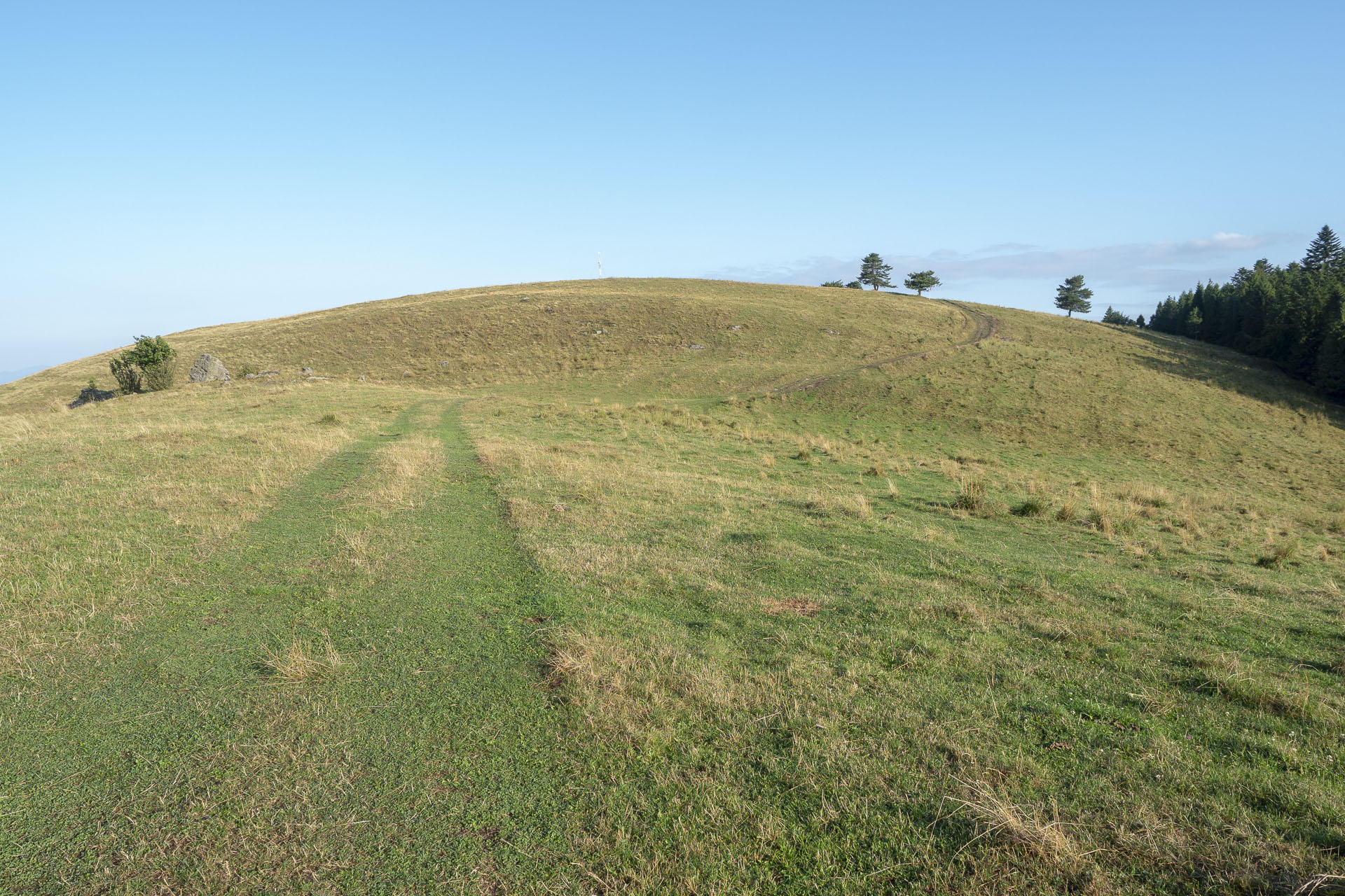 Bukovec zo Švedlára (Volovské vrchy)