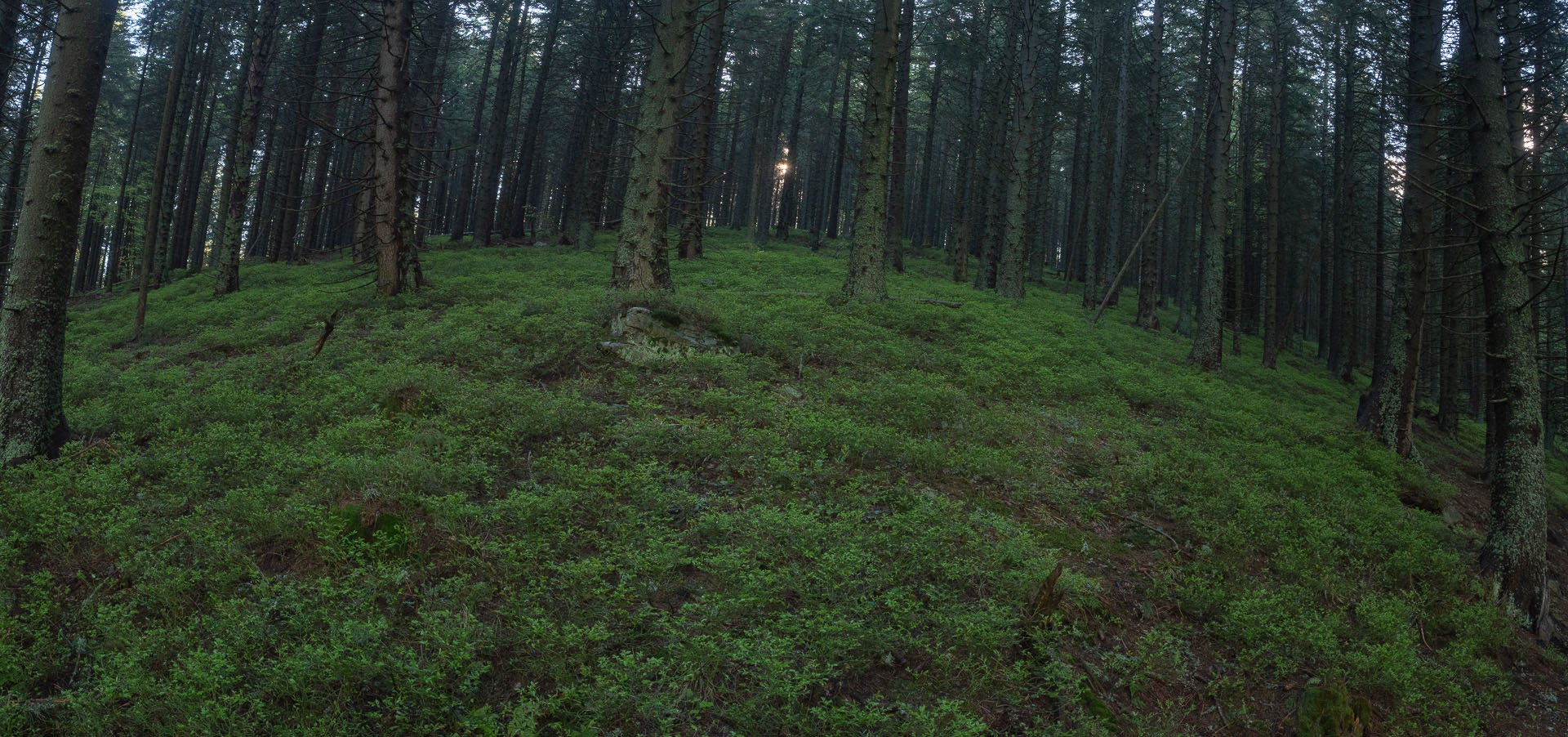 Chabenec z Magurky (Nízke Tatry)