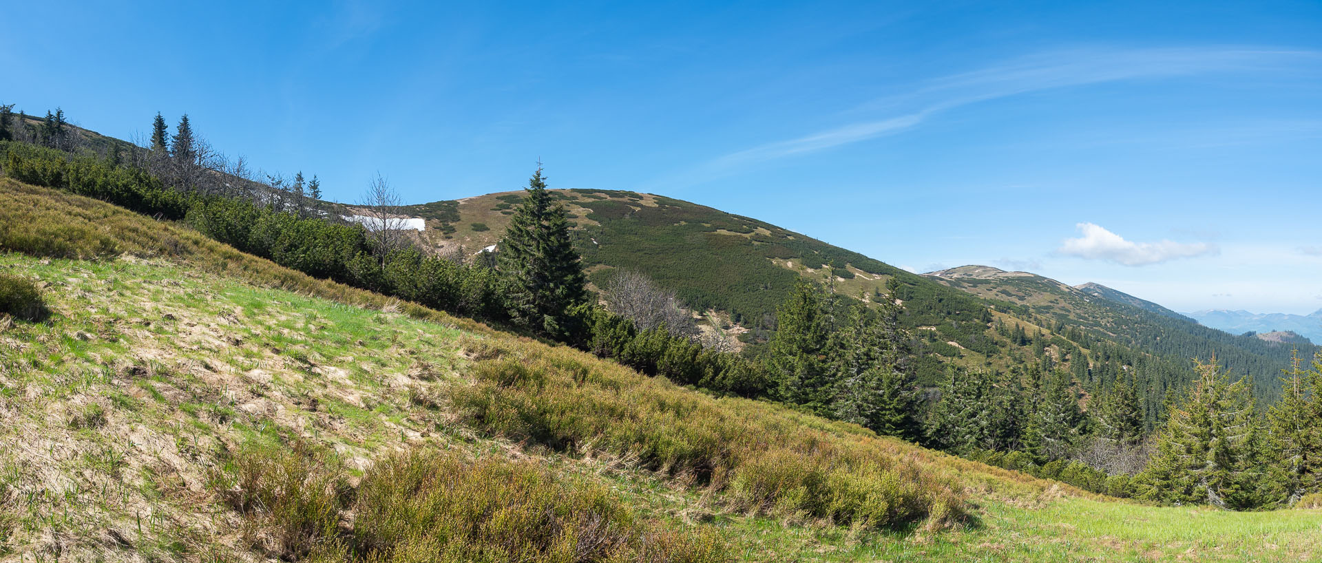 Chabenec z Magurky (Nízke Tatry)