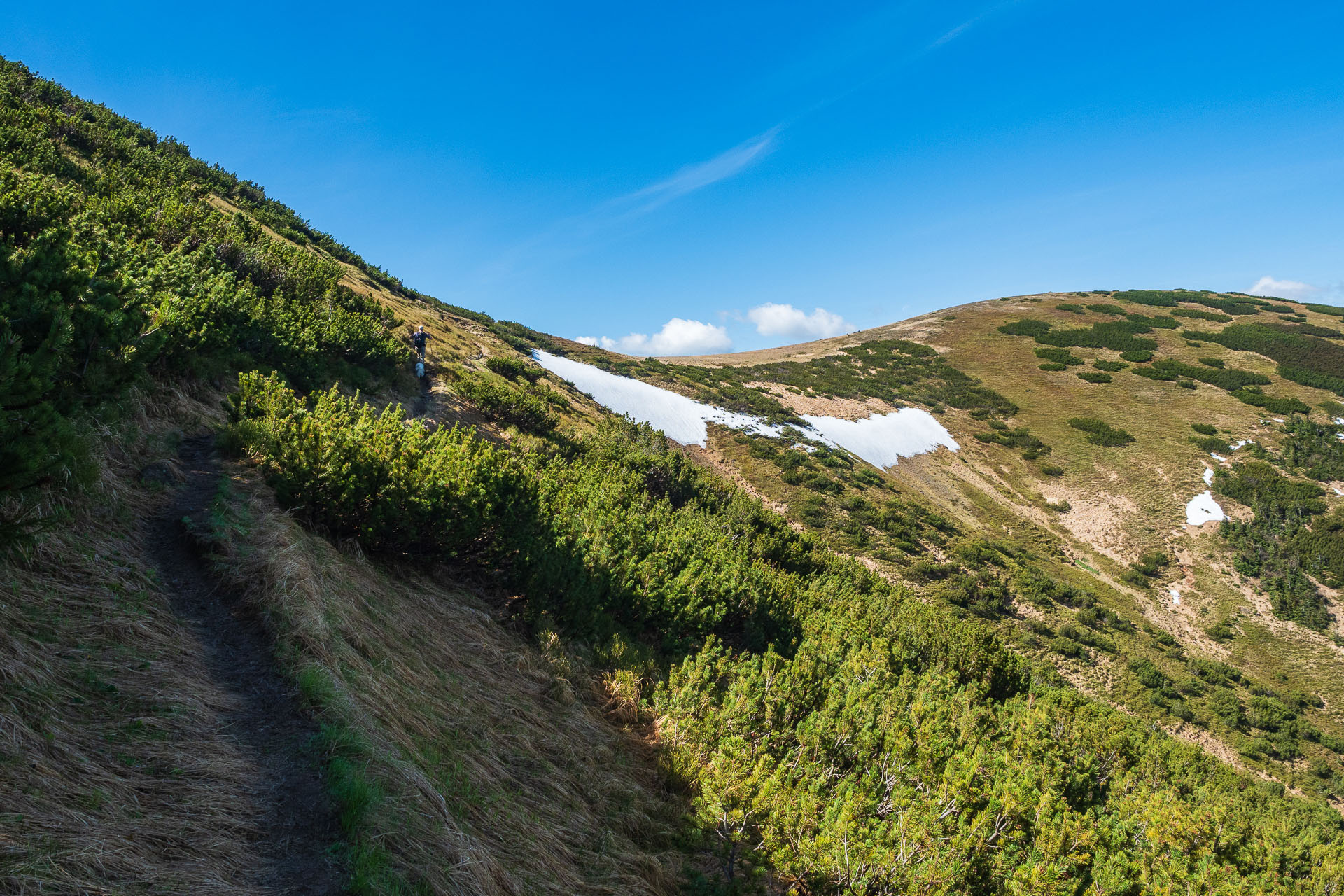 Chabenec z Magurky (Nízke Tatry)