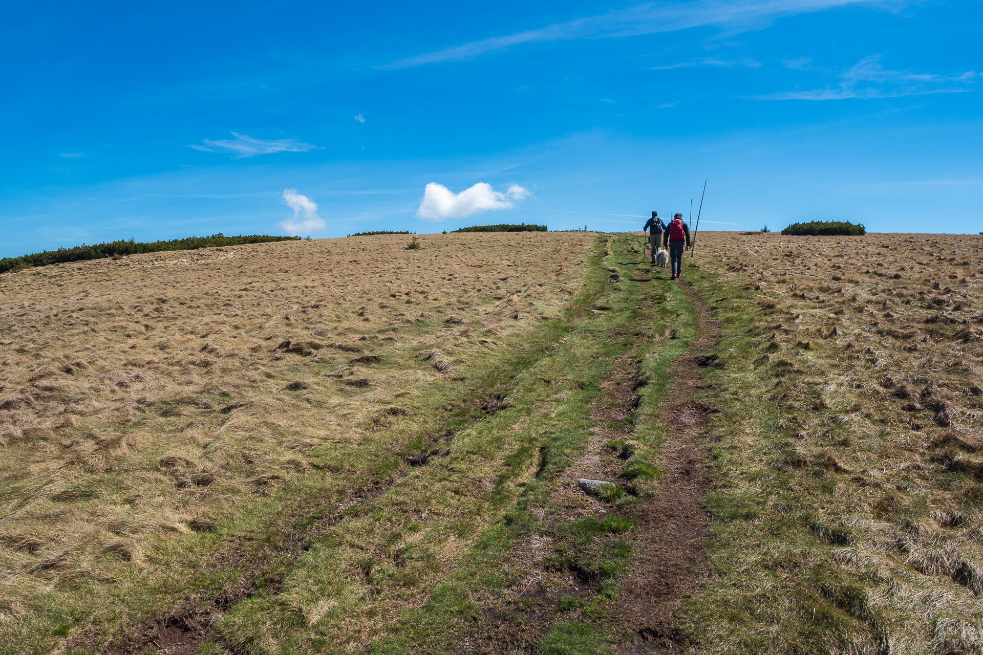 Chabenec z Magurky (Nízke Tatry)