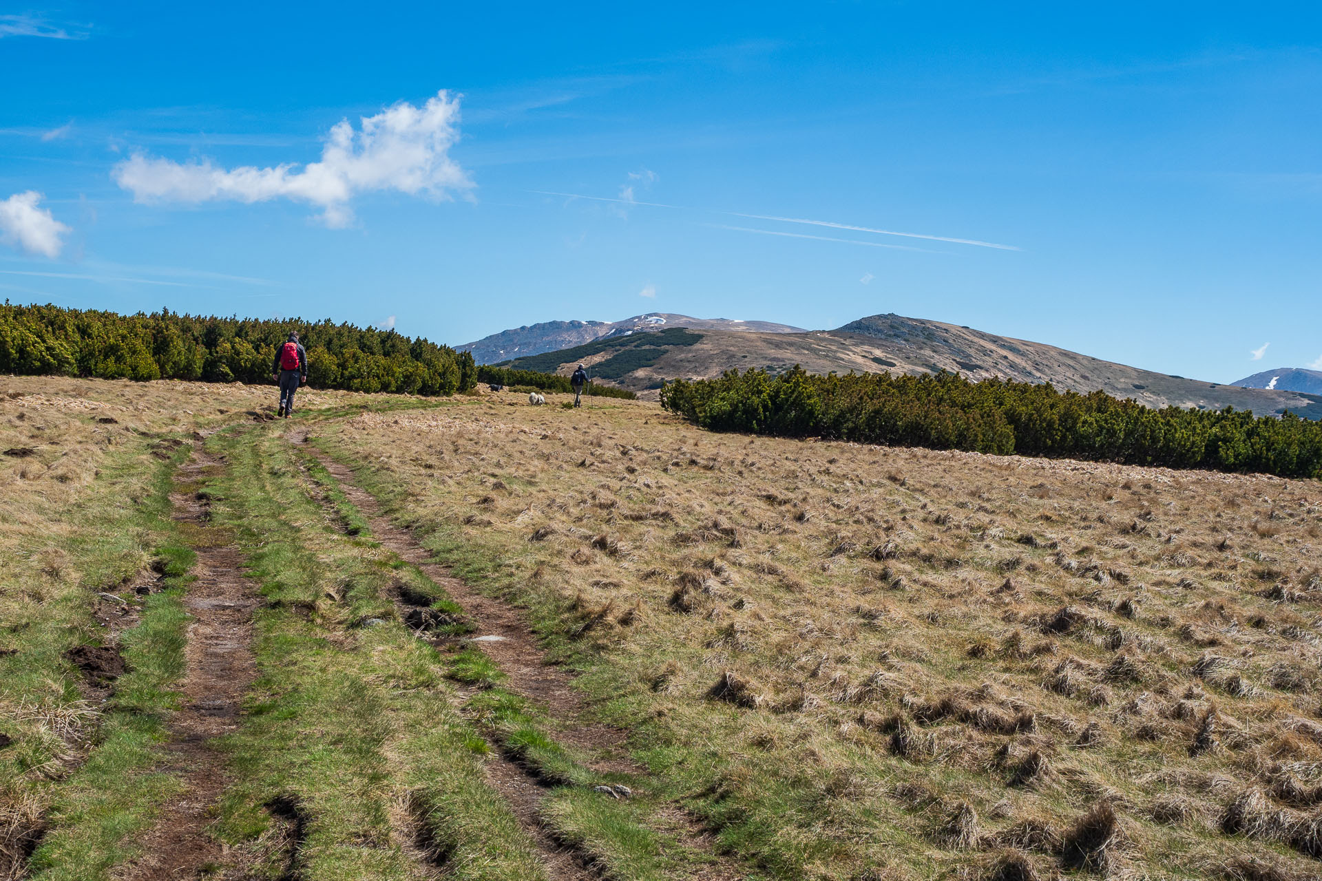 Chabenec z Magurky (Nízke Tatry)