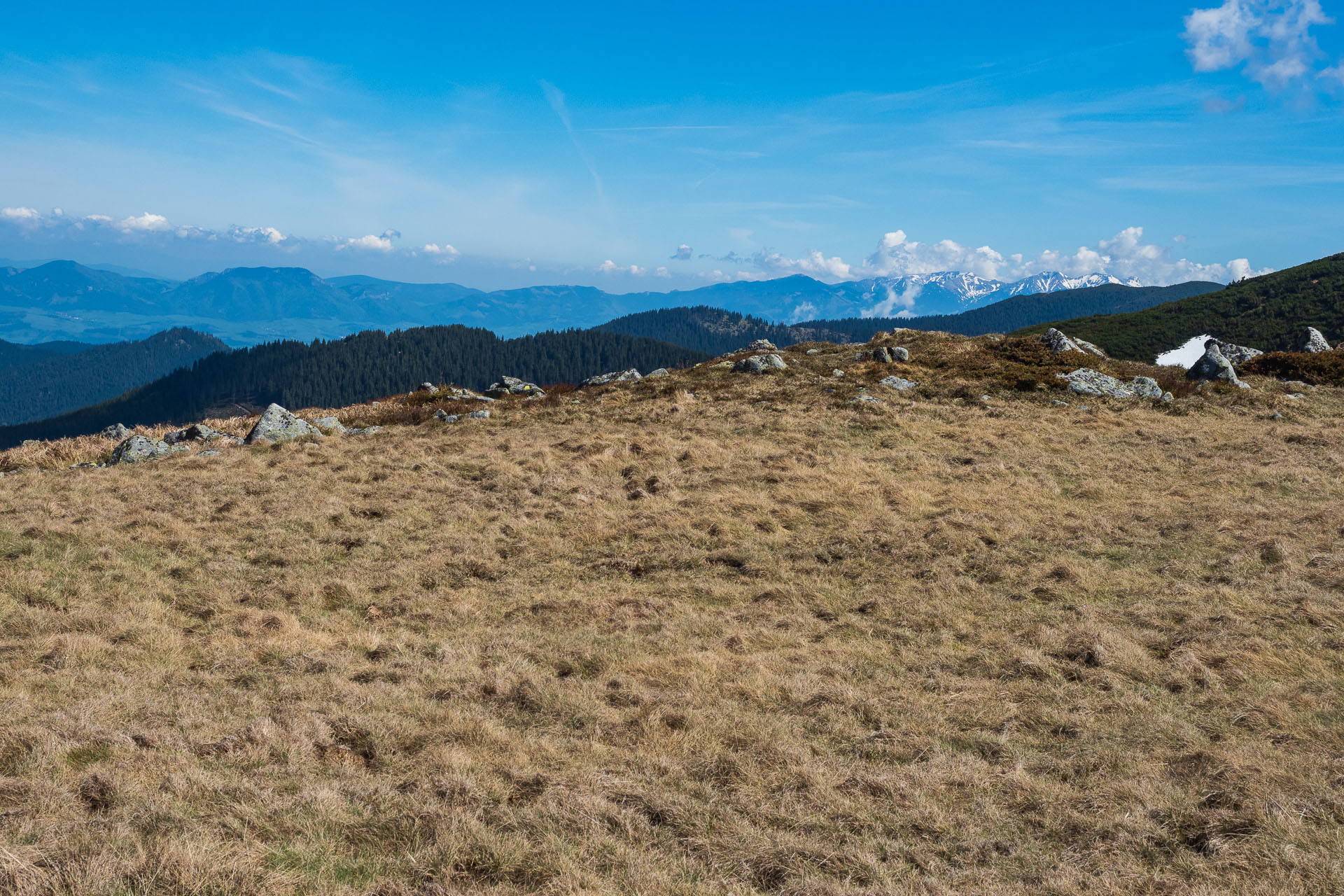 Chabenec z Magurky (Nízke Tatry)