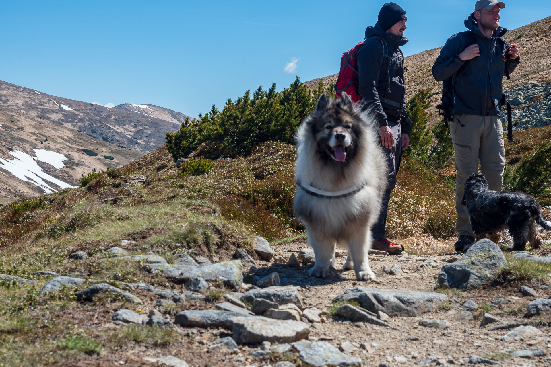 Chabenec z Magurky (Nízke Tatry)