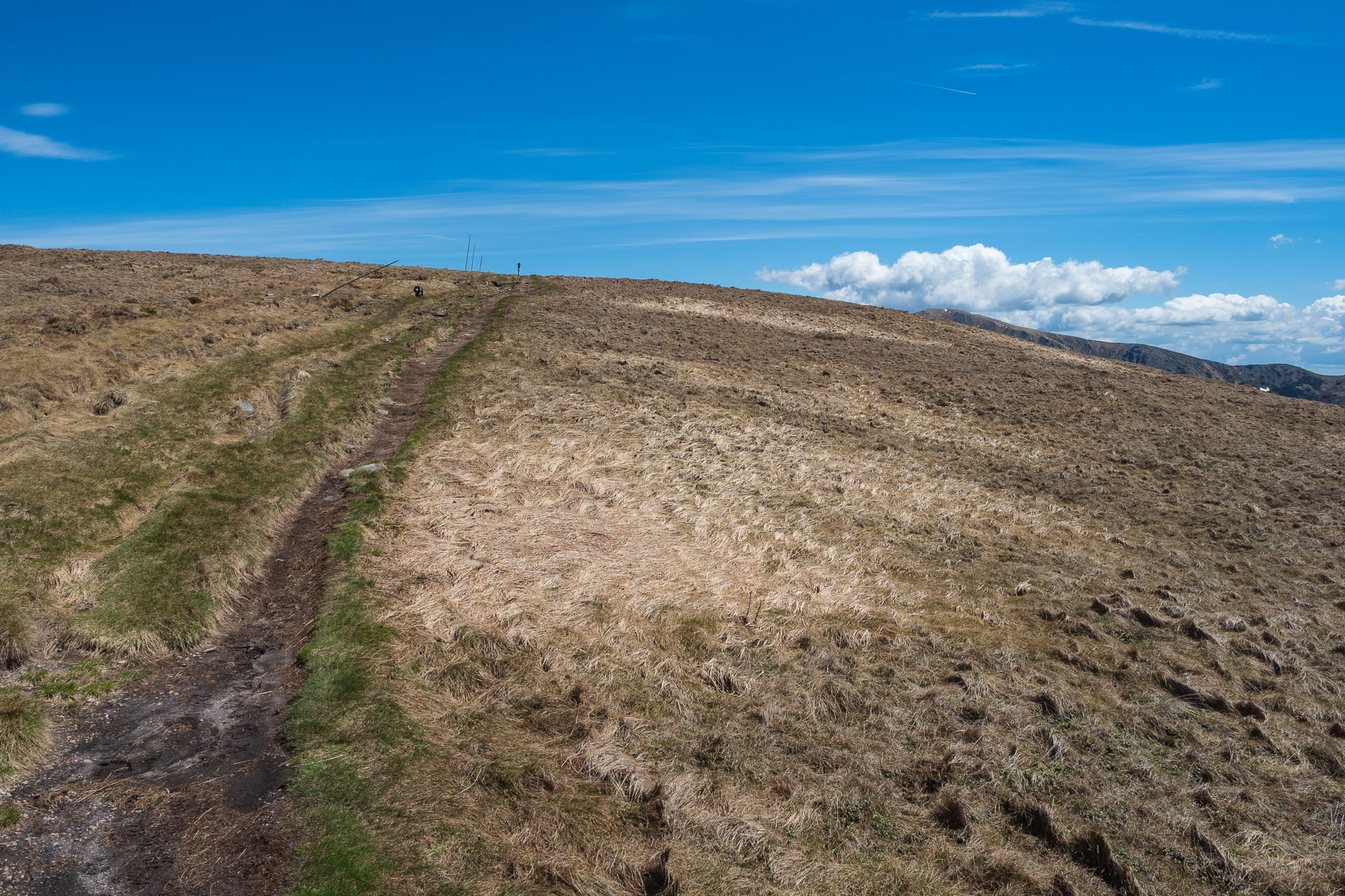 Chabenec z Magurky (Nízke Tatry)